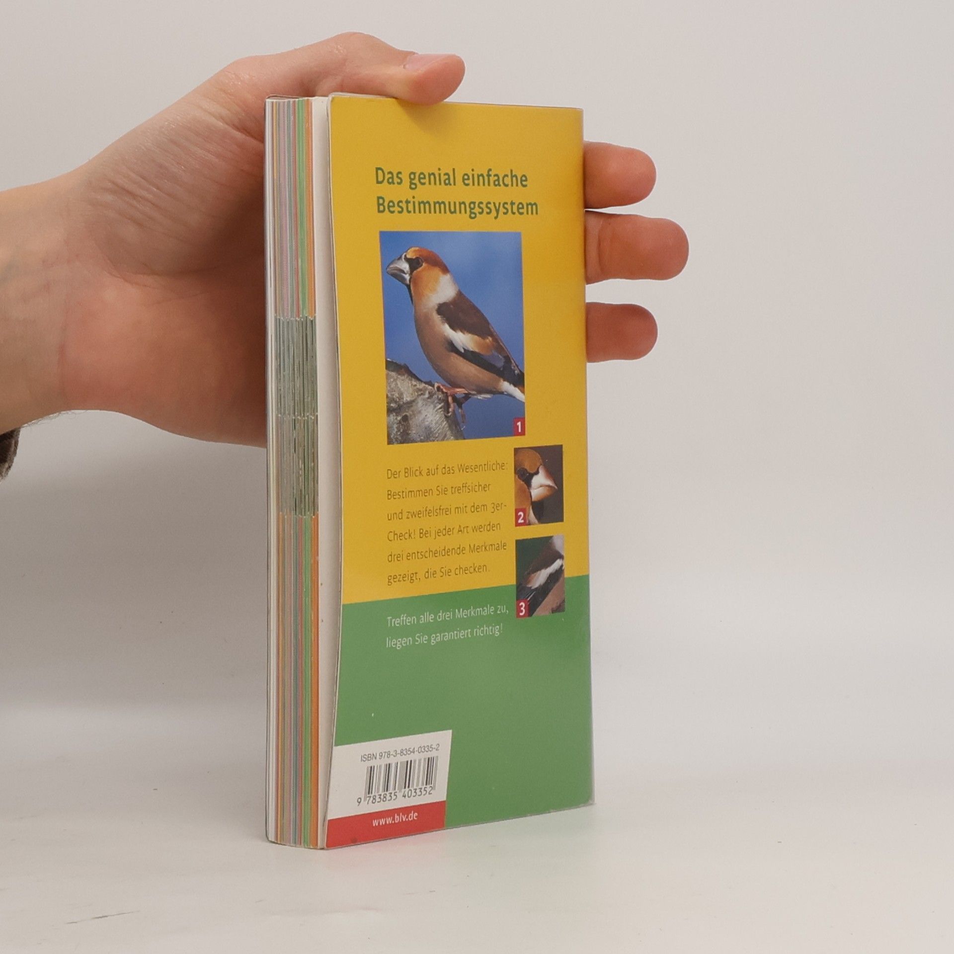Einhard Bezzel Vögel
