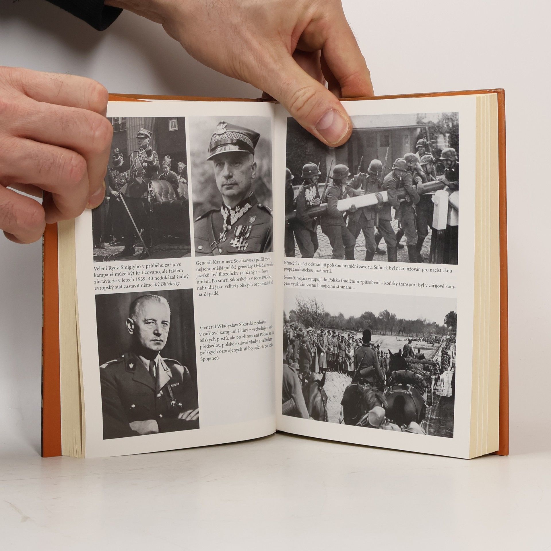 David G. Williamson Zrazené Polsko: Nacistická a sovětská invaze v roce 1939