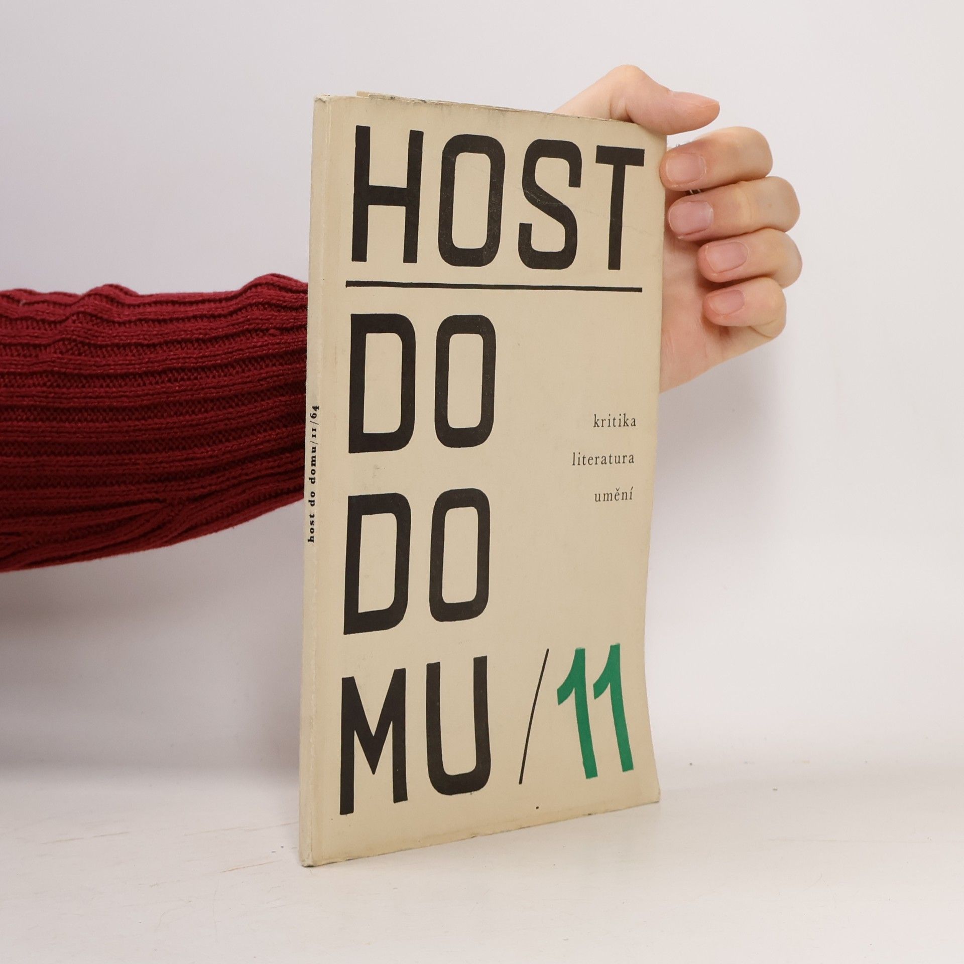 Kolektiv autorů Host do domu 11