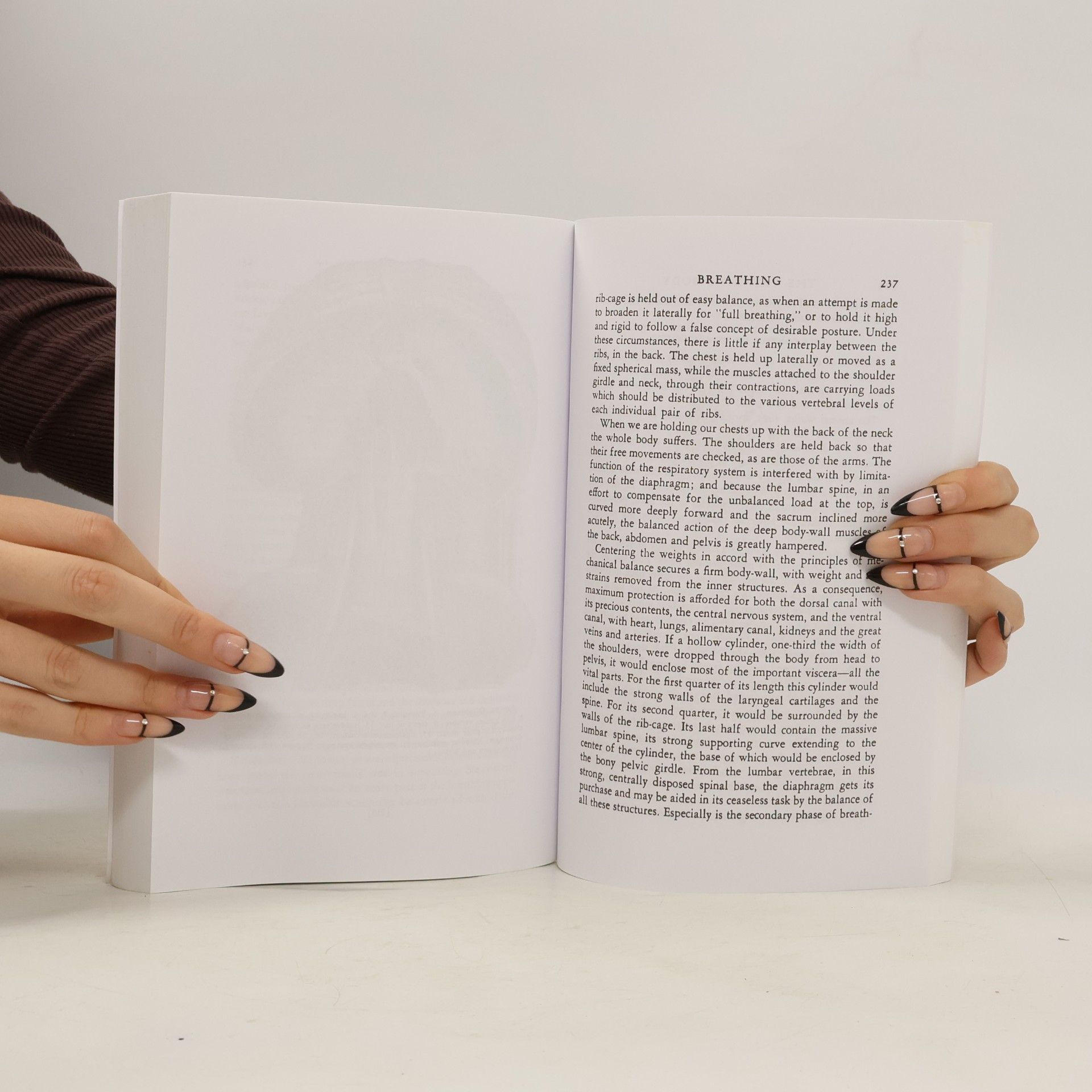 Mabel E. Todd The Thinking Body