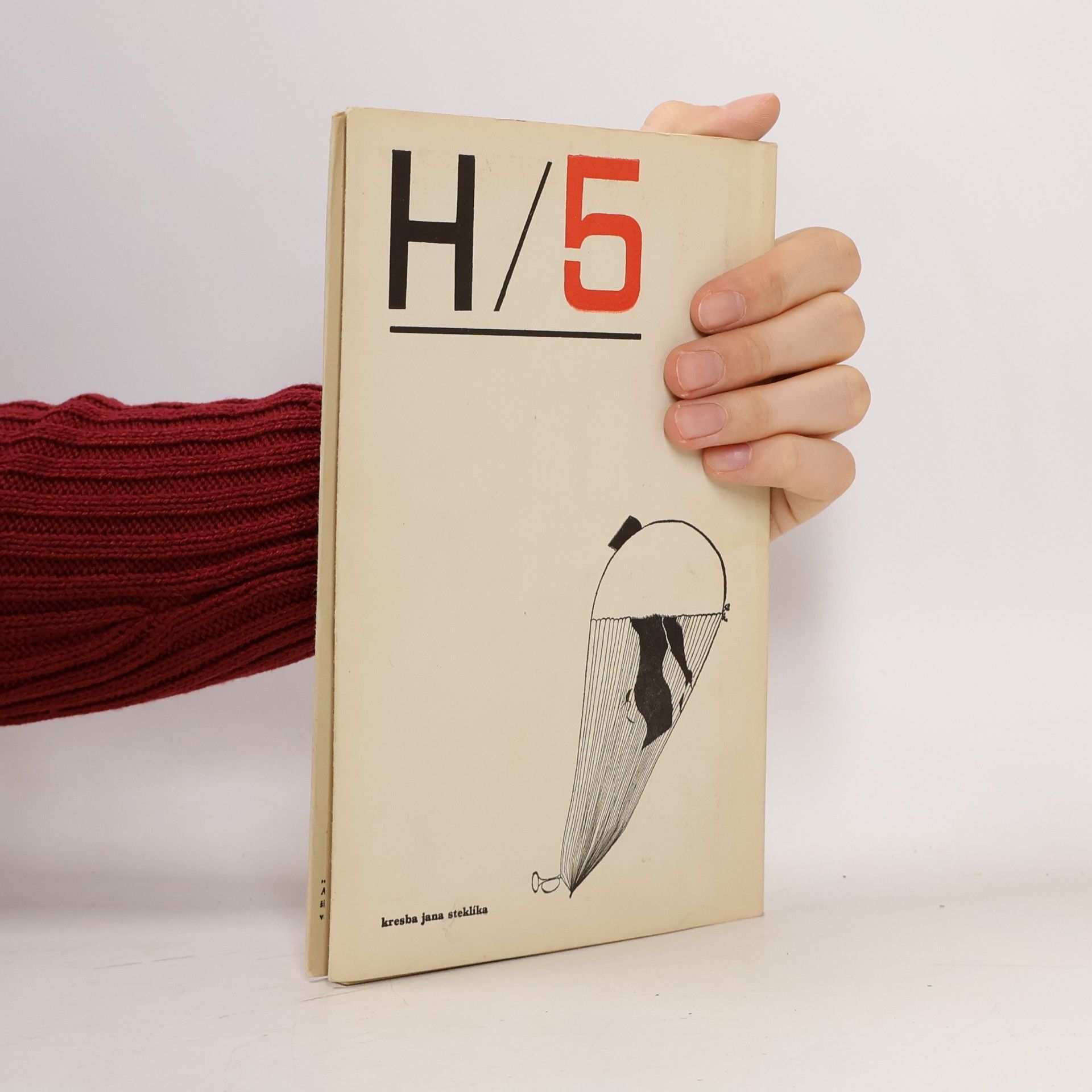 Kolektiv autorů Host do domu 5. Kritika, literatura, umění