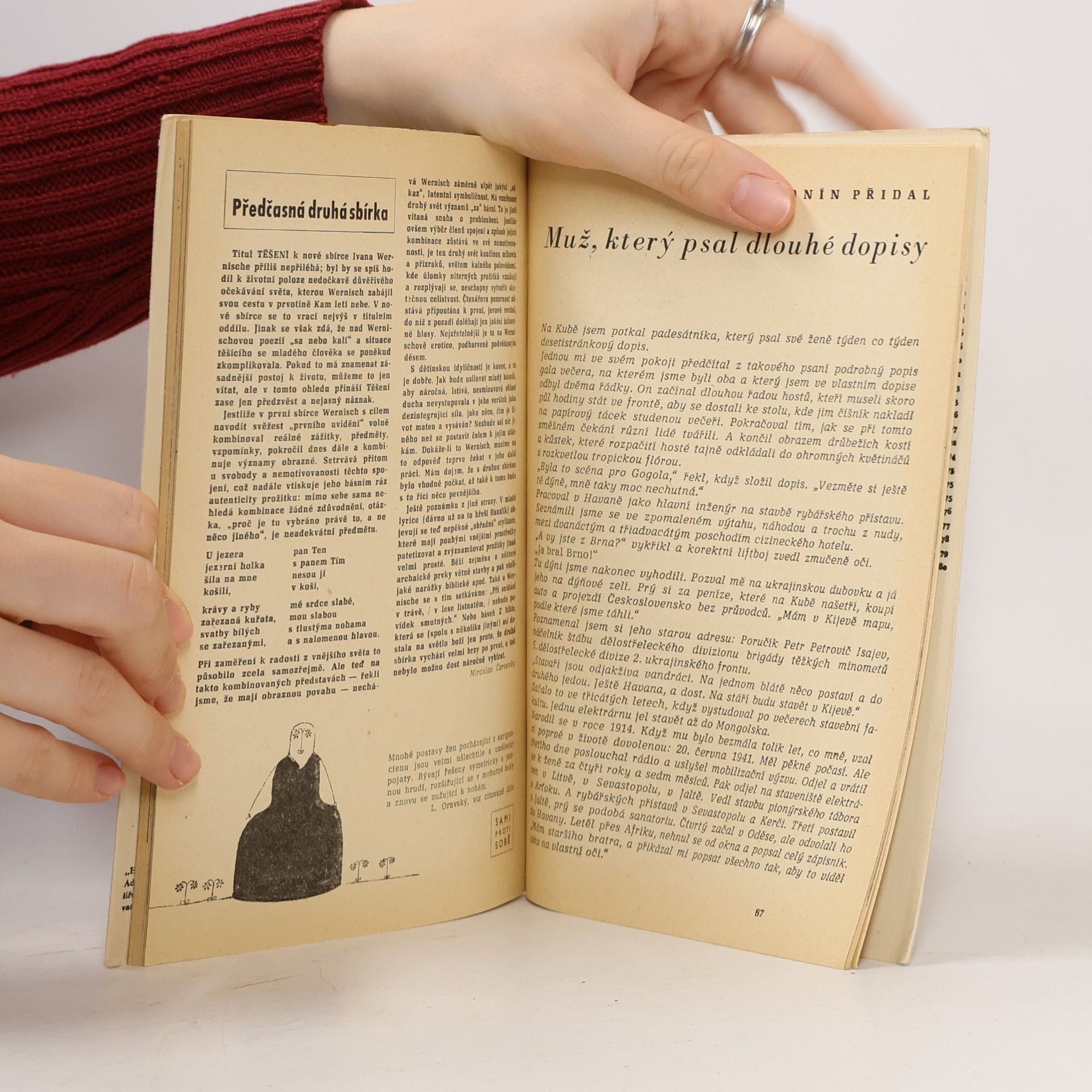 Kolektiv autorů Host do domu 5. Kritika, literatura, umění