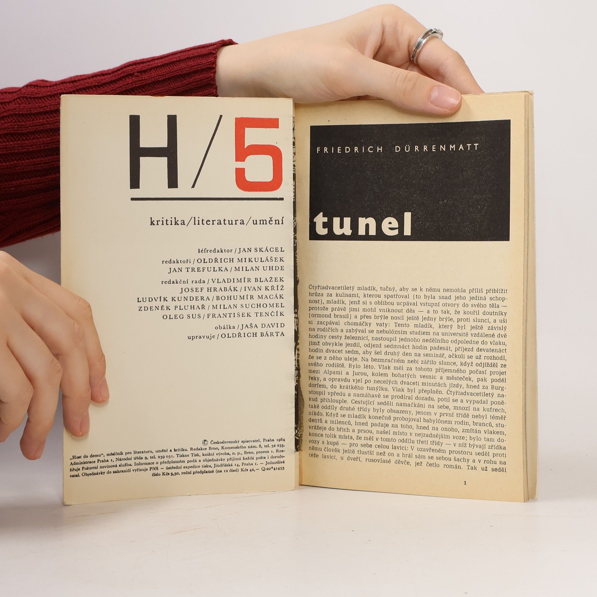 Kolektiv autorů Host do domu 5. Kritika, literatura, umění