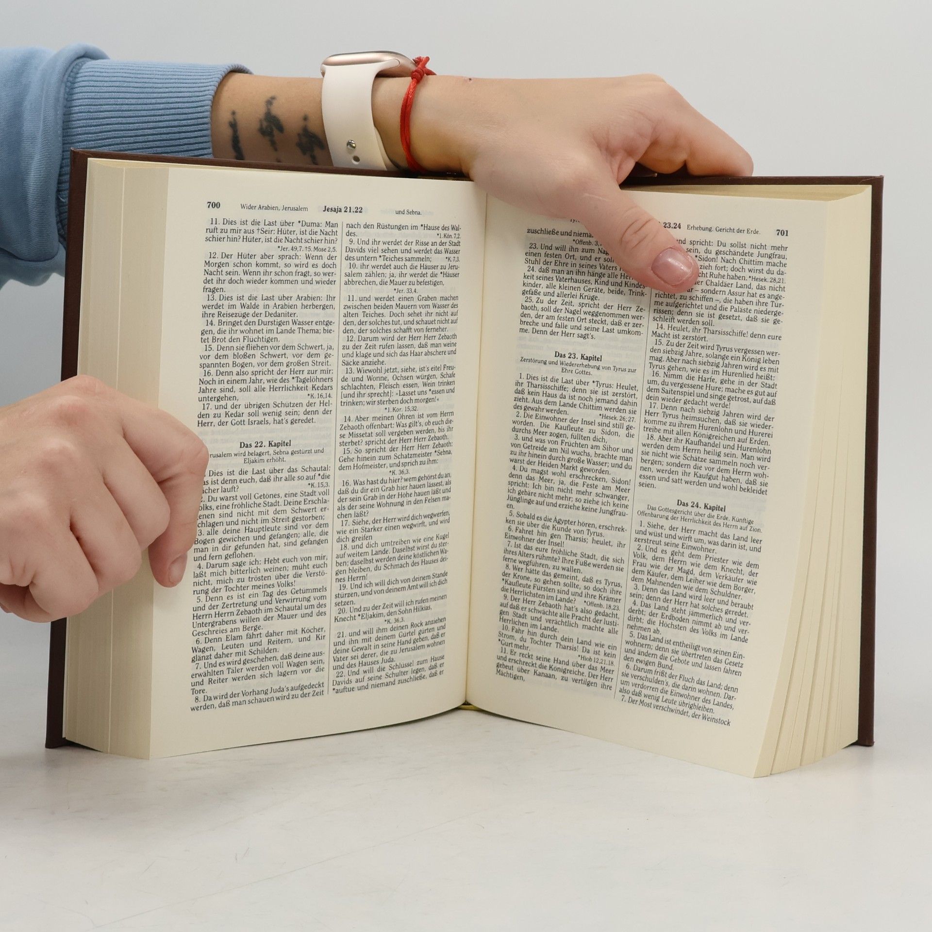 Kolektiv autorů Die Bibel