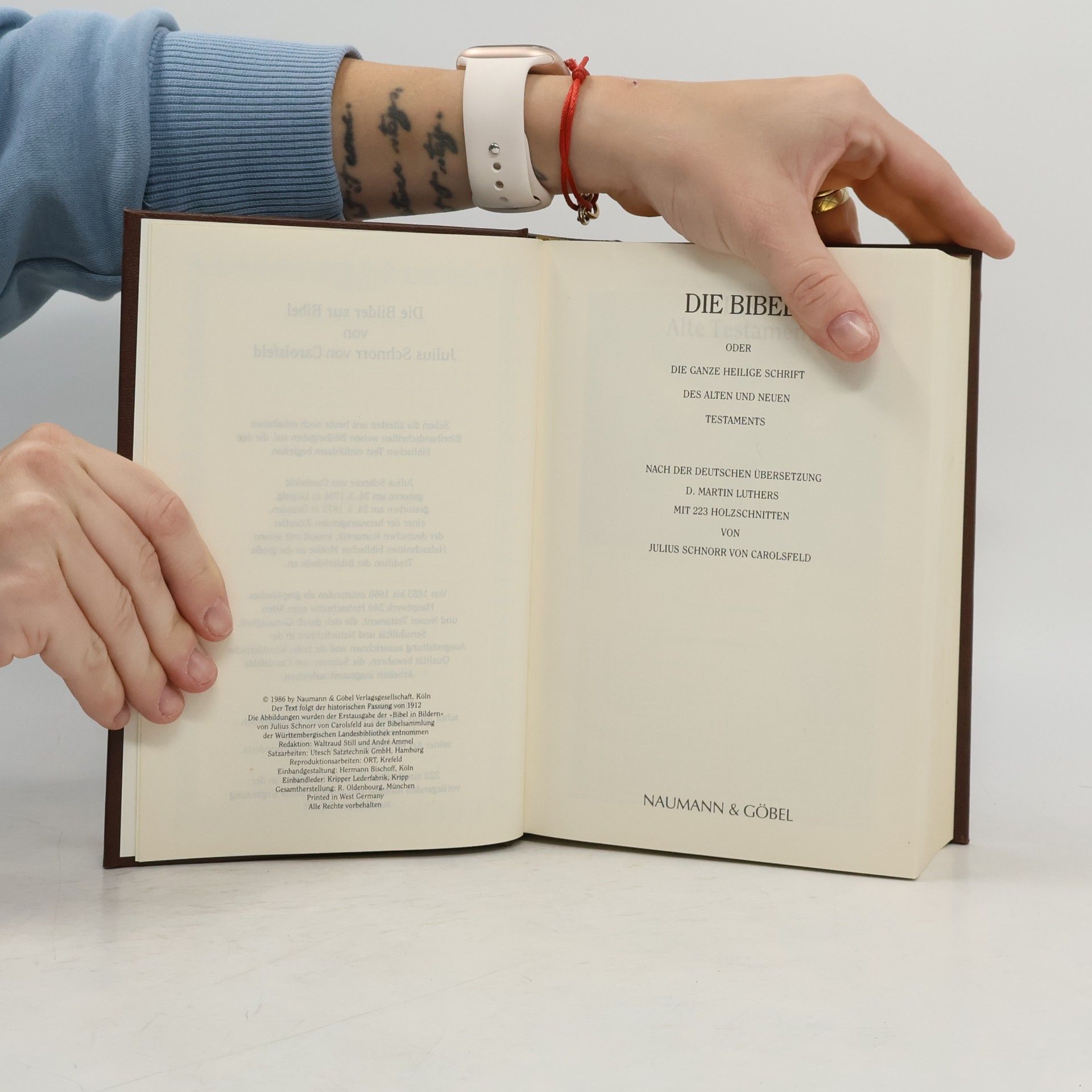 Kolektiv autorů Die Bibel