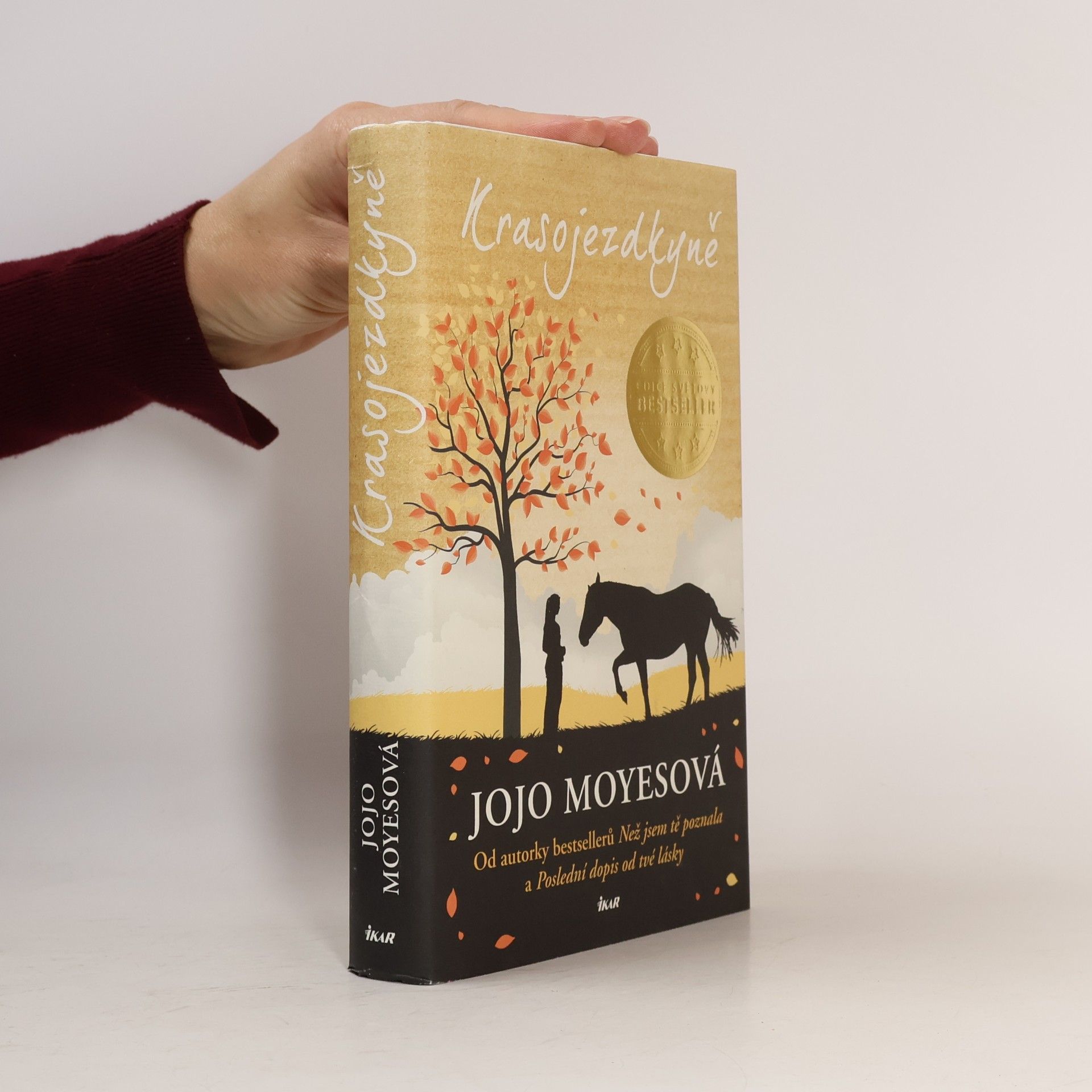 Jojo Moyes Krasojezdkyně