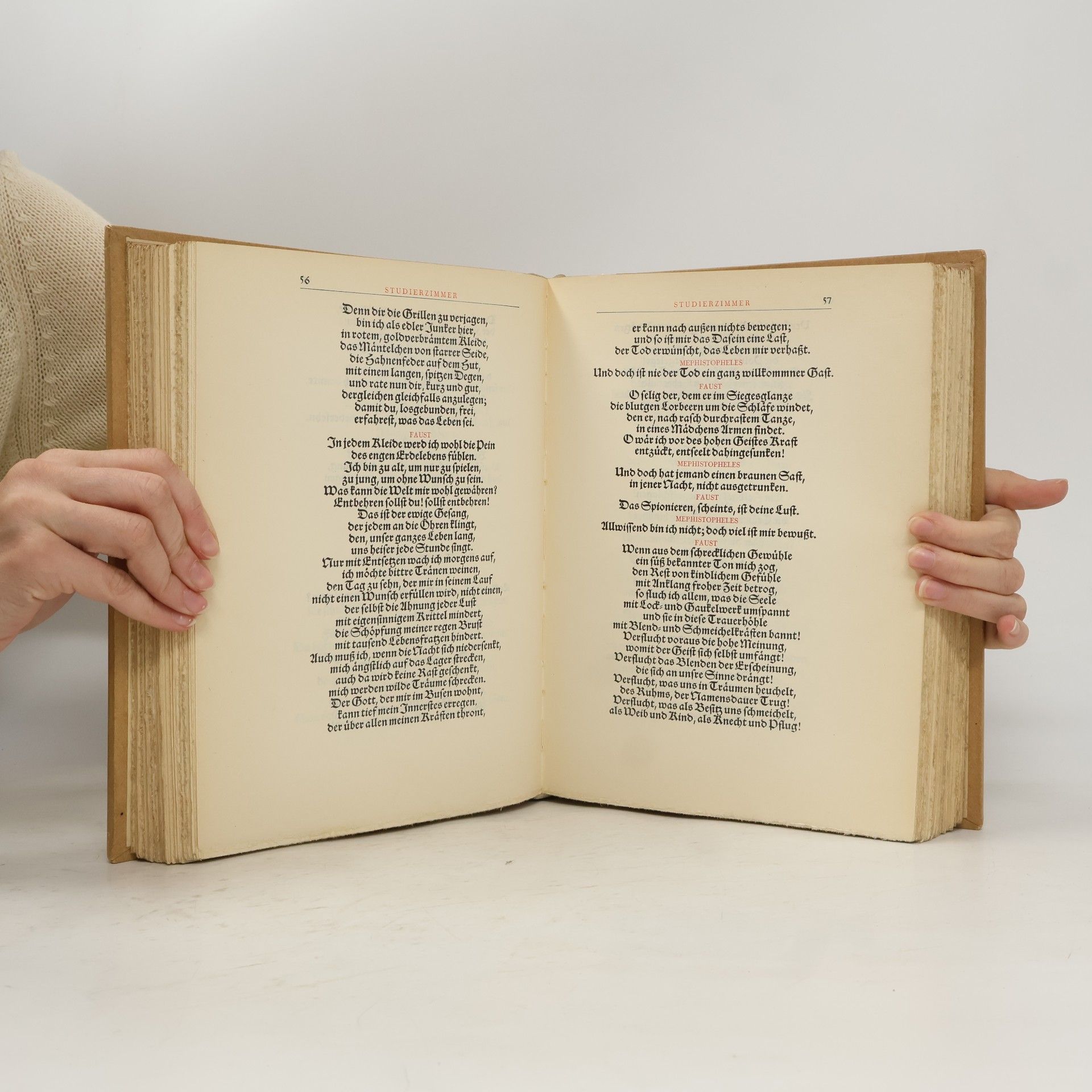 Johann Wolfgang von Goethe Faust