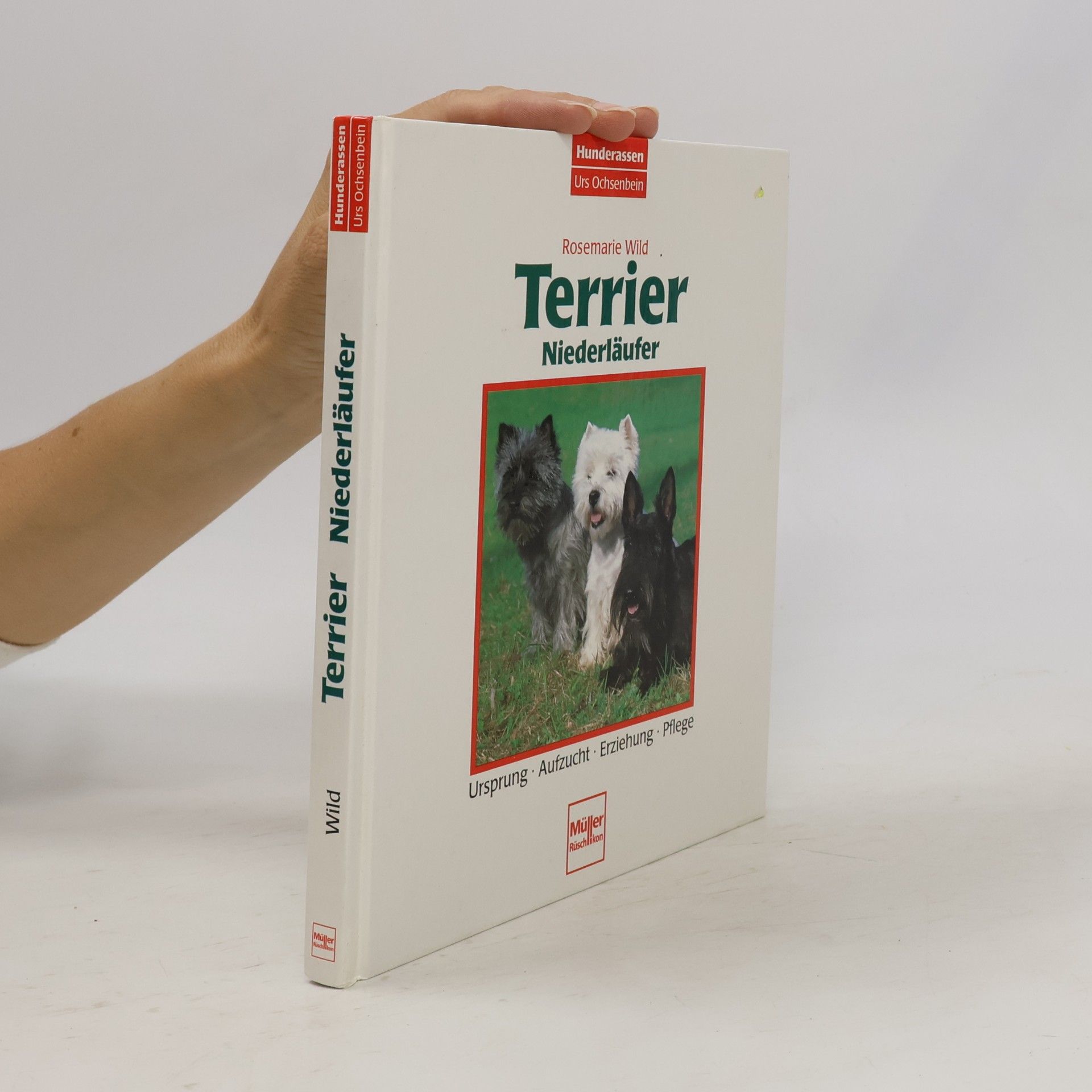 Terrier