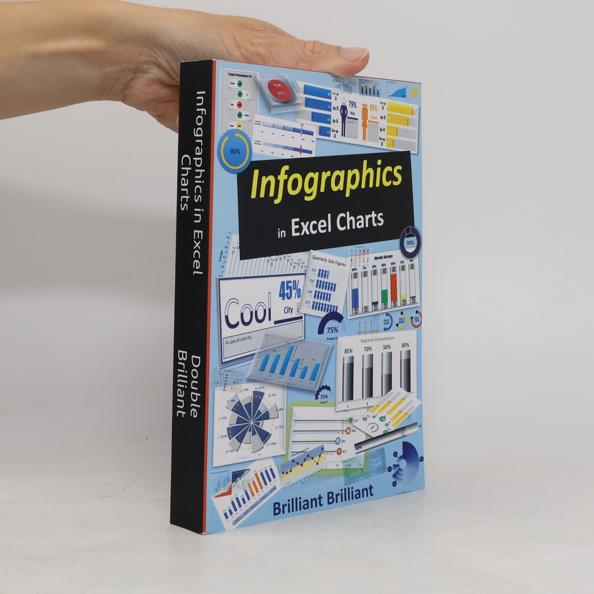 Autorenkollektiv Infographics in Excel Charts
