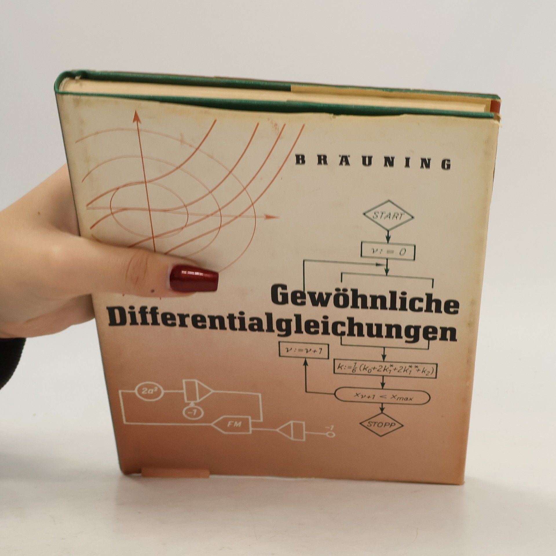 Günter Bräuning Gewöhnliche Differentialgleichungen