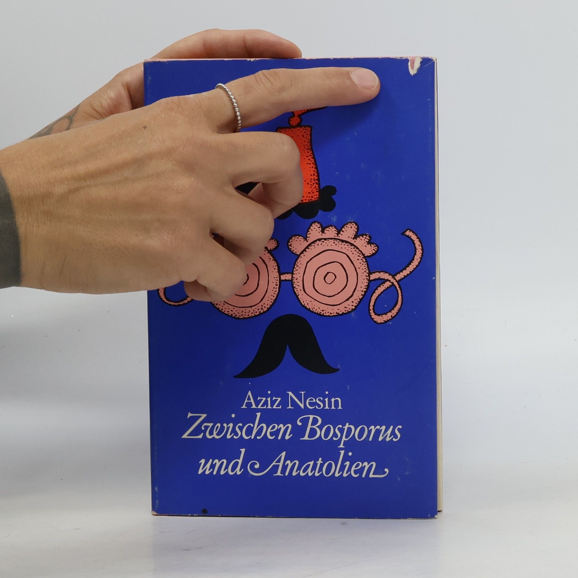 Aziz Nesin Zwischen Bosporus und Anatolien