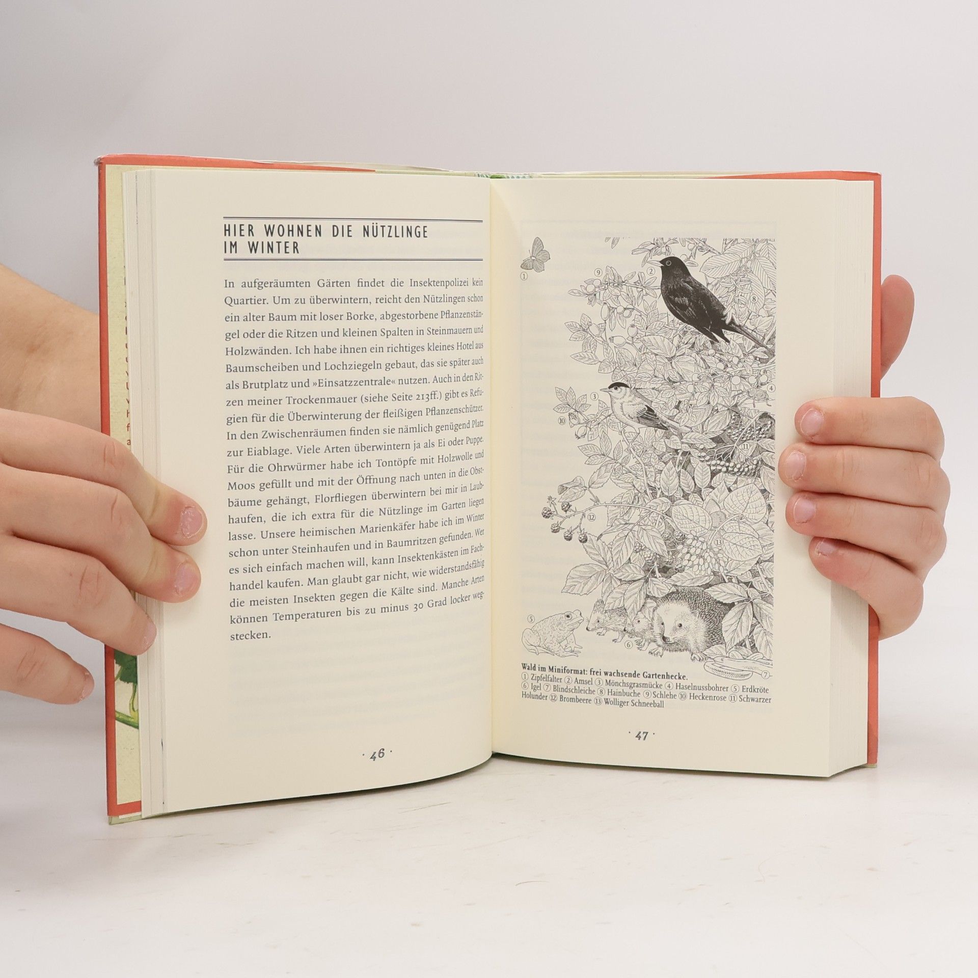 Claus Petermann Petermanns Almanach für den Biogarten