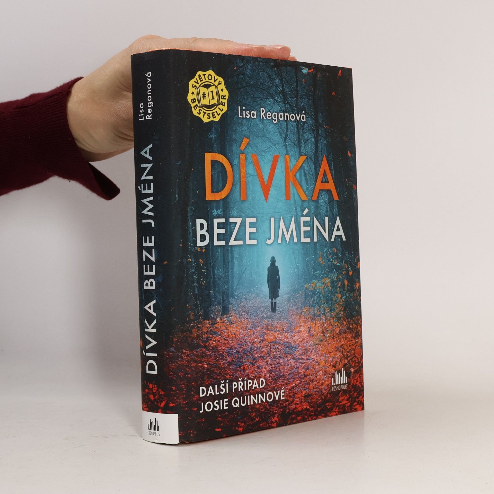 Dívka beze jména: Další případ Josie Quinnové