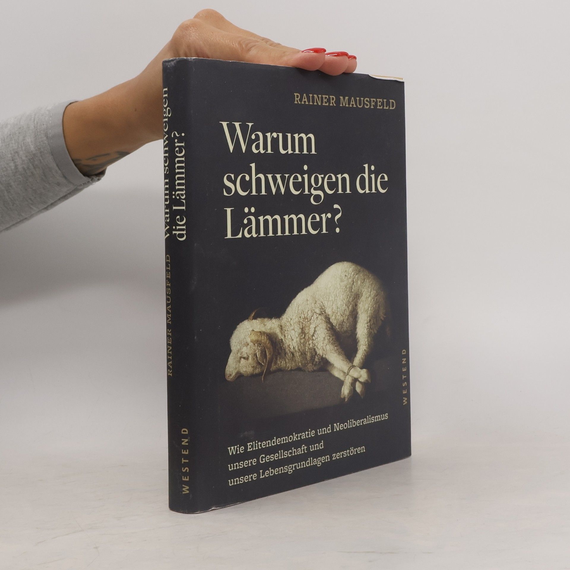 Rainer Mausfeld Warum schweigen die Lämmer?