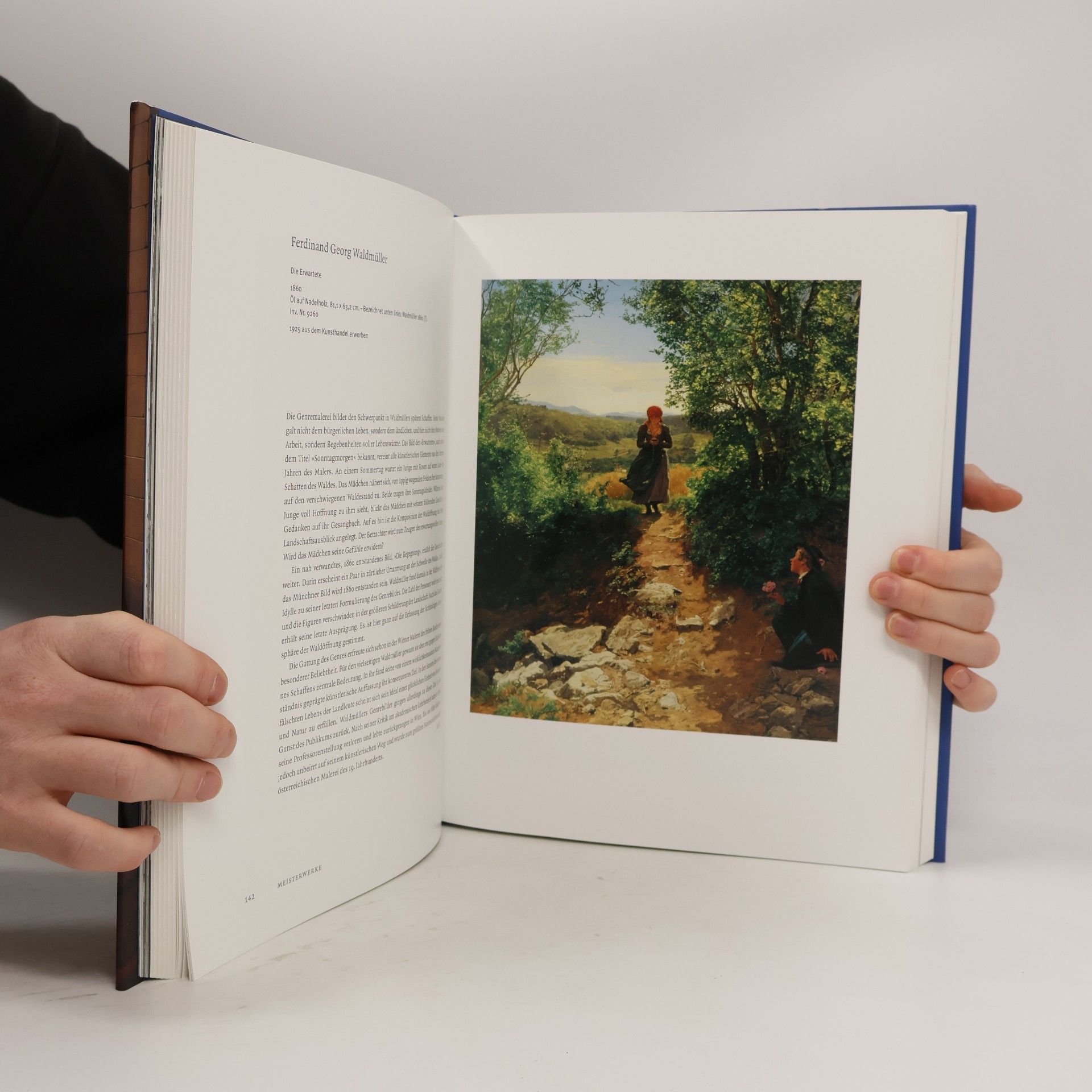 Autorenkollektiv Das 19. Jahrhundert - die Neue Pinakothek