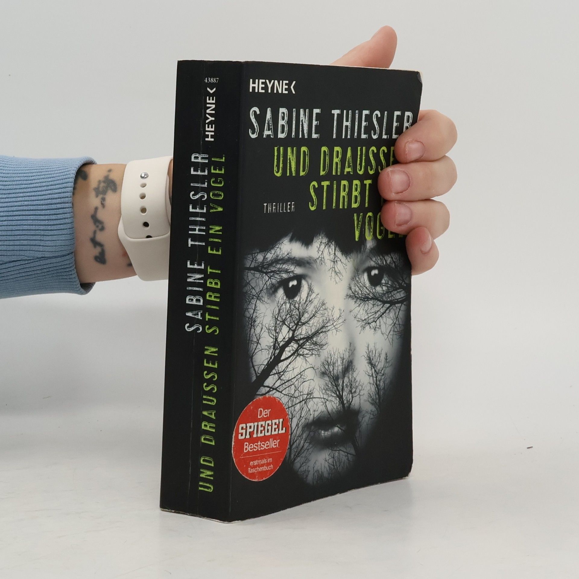 Sabine Thiesler Und draußen stirbt ein Vogel
