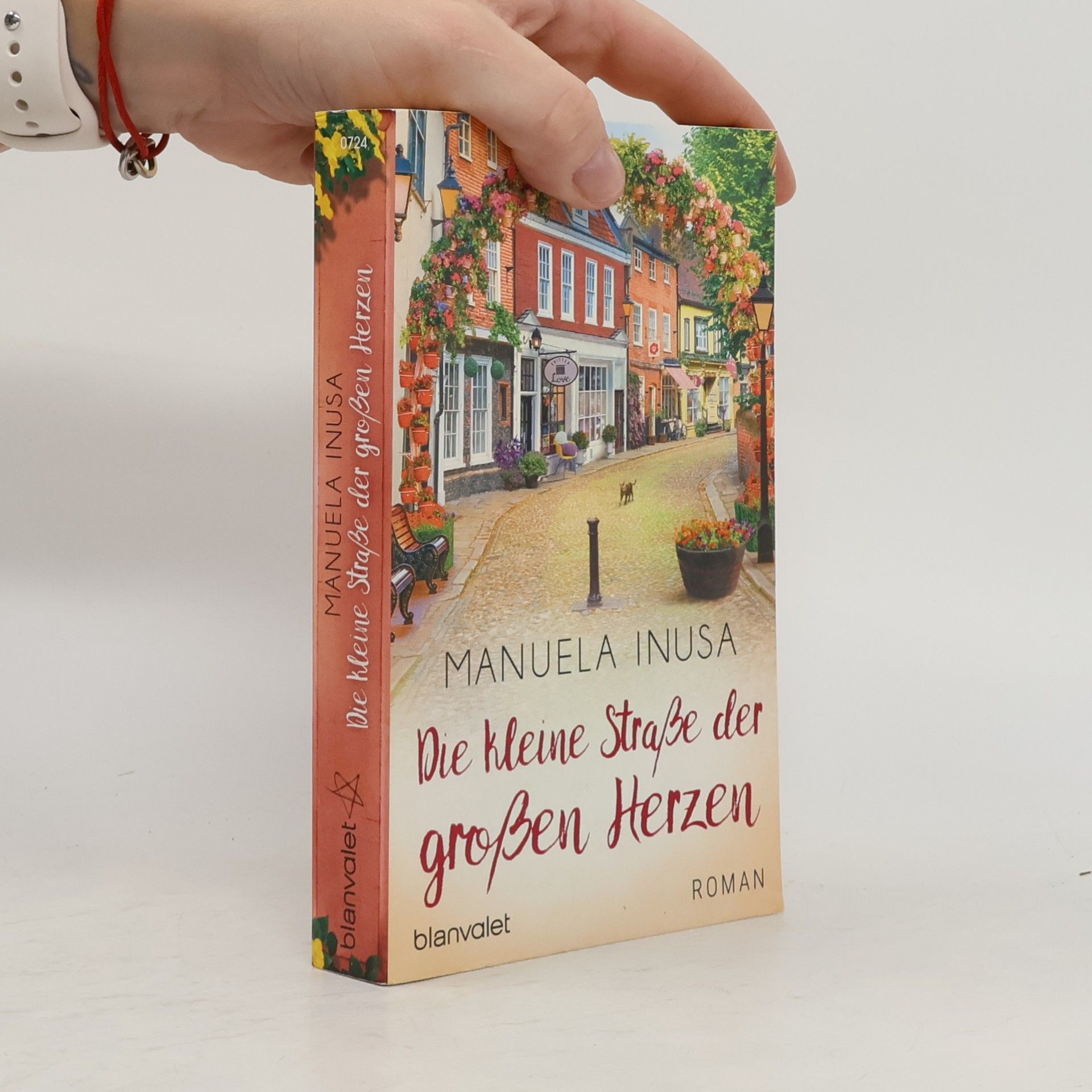 Manuela Inusa Die kleine Straße der großen Herzen