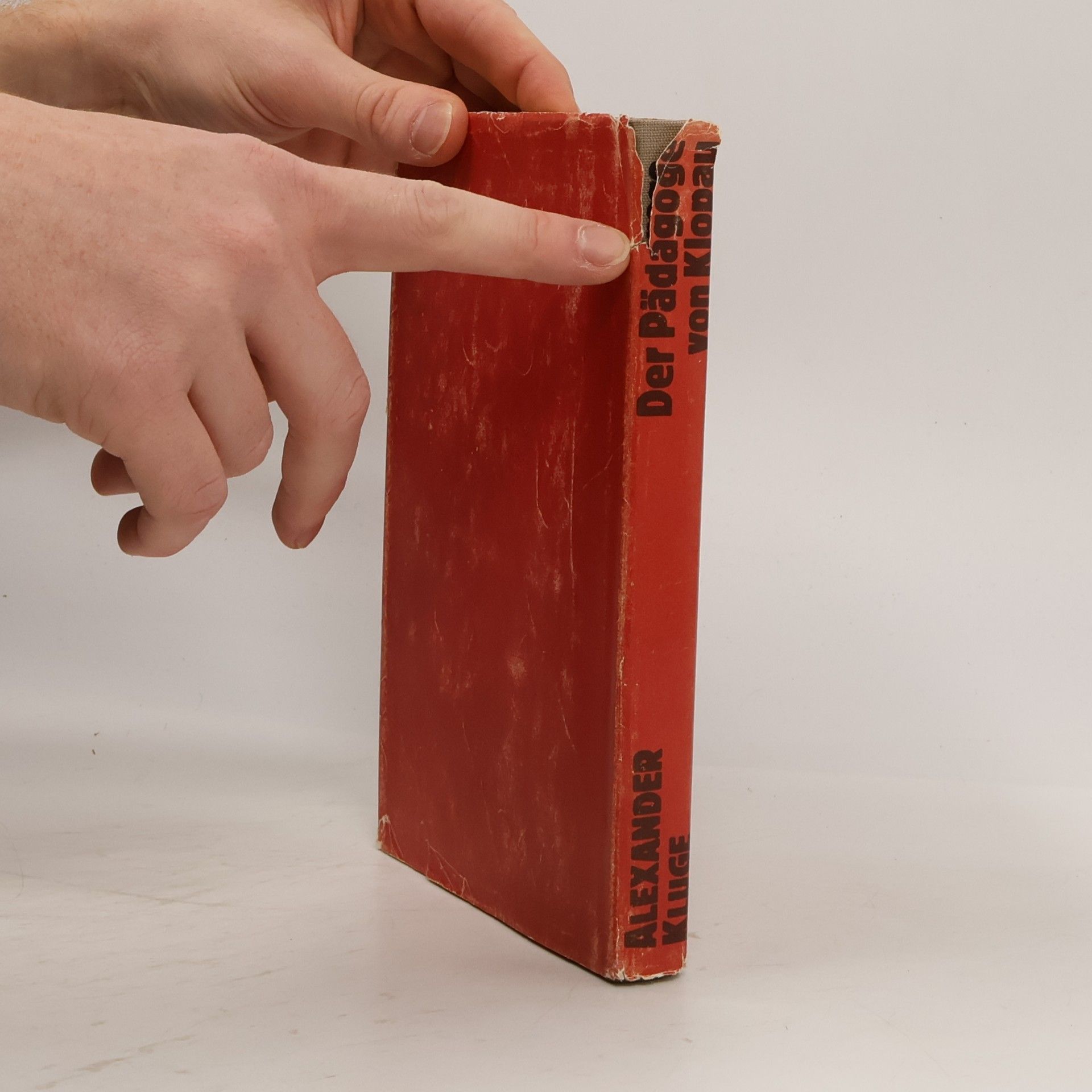 Alexander Kluge Der Pädagoge von Klopau und andere Geschichten