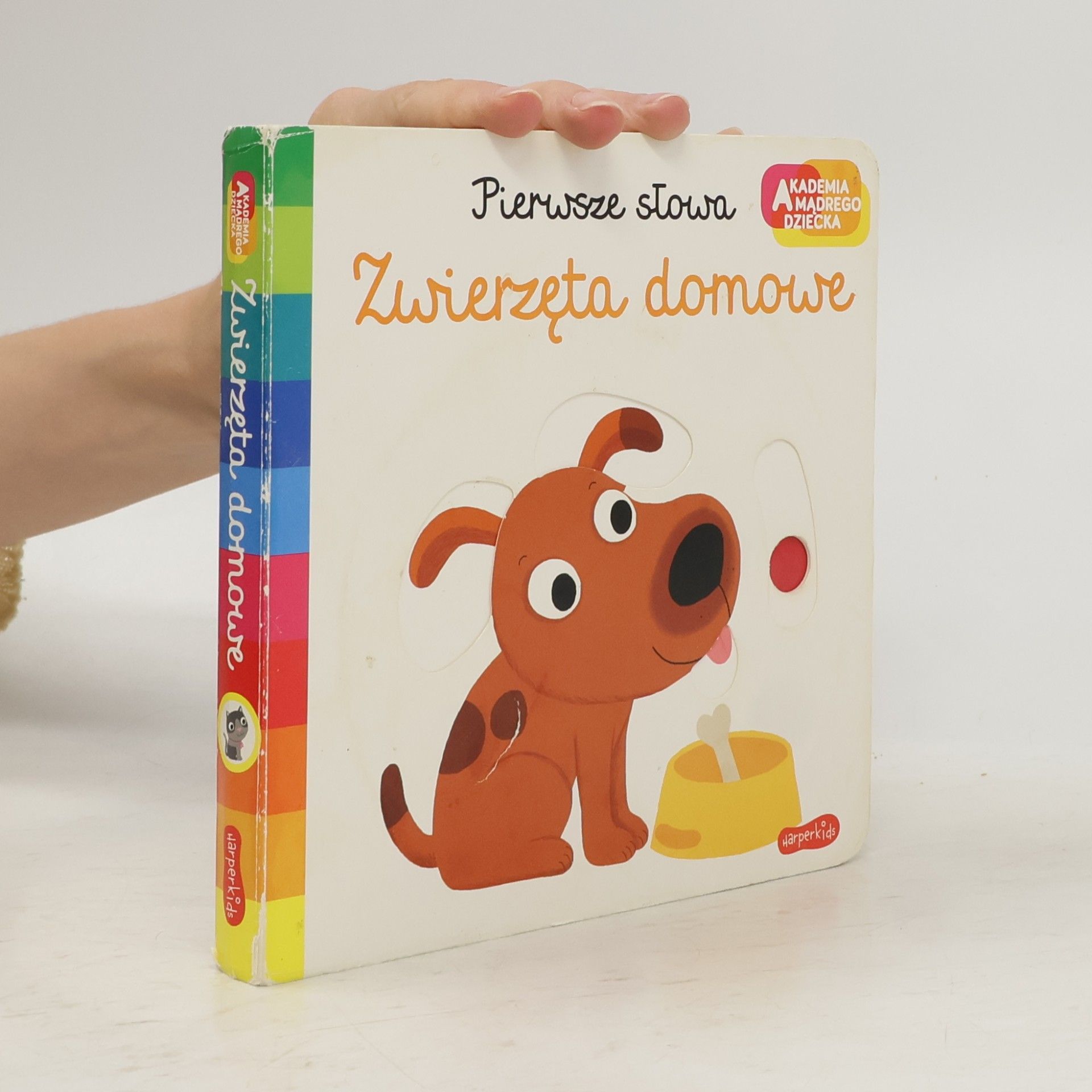 Nathalie Choux Akademia mądrego dziecka. Zwierzęta domowe