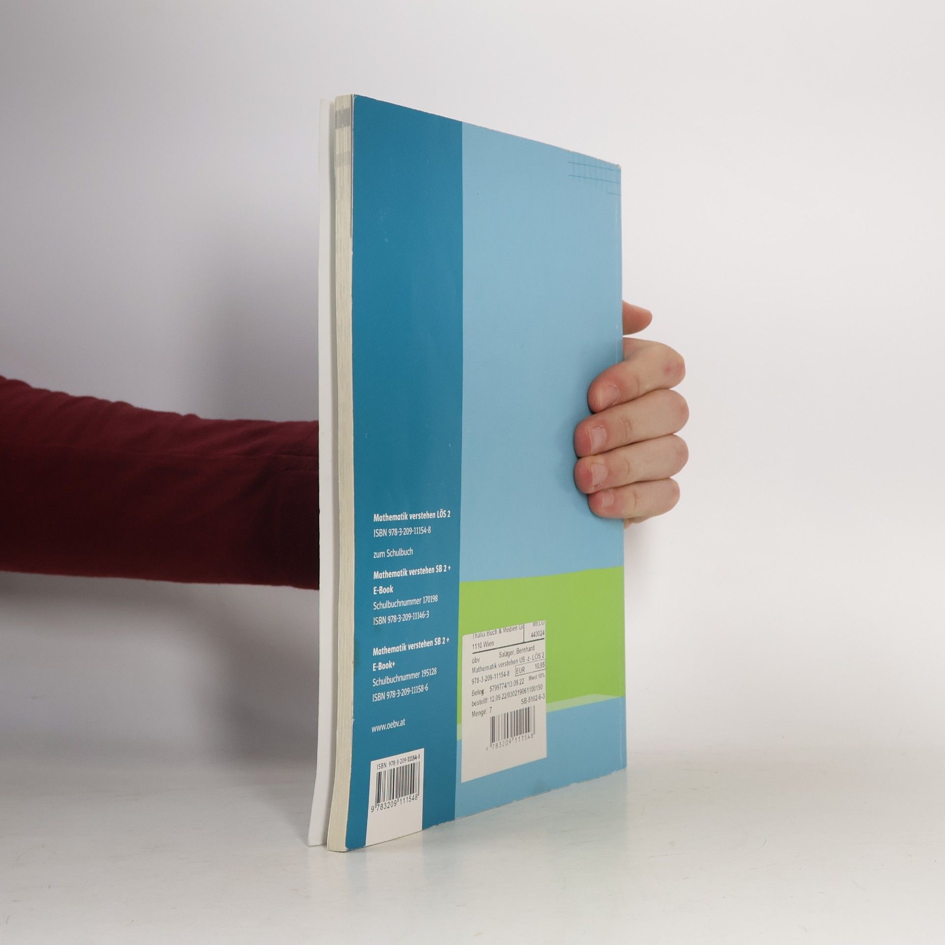 Bernhard Salzger Mathematik verstehen 2, Lösungen