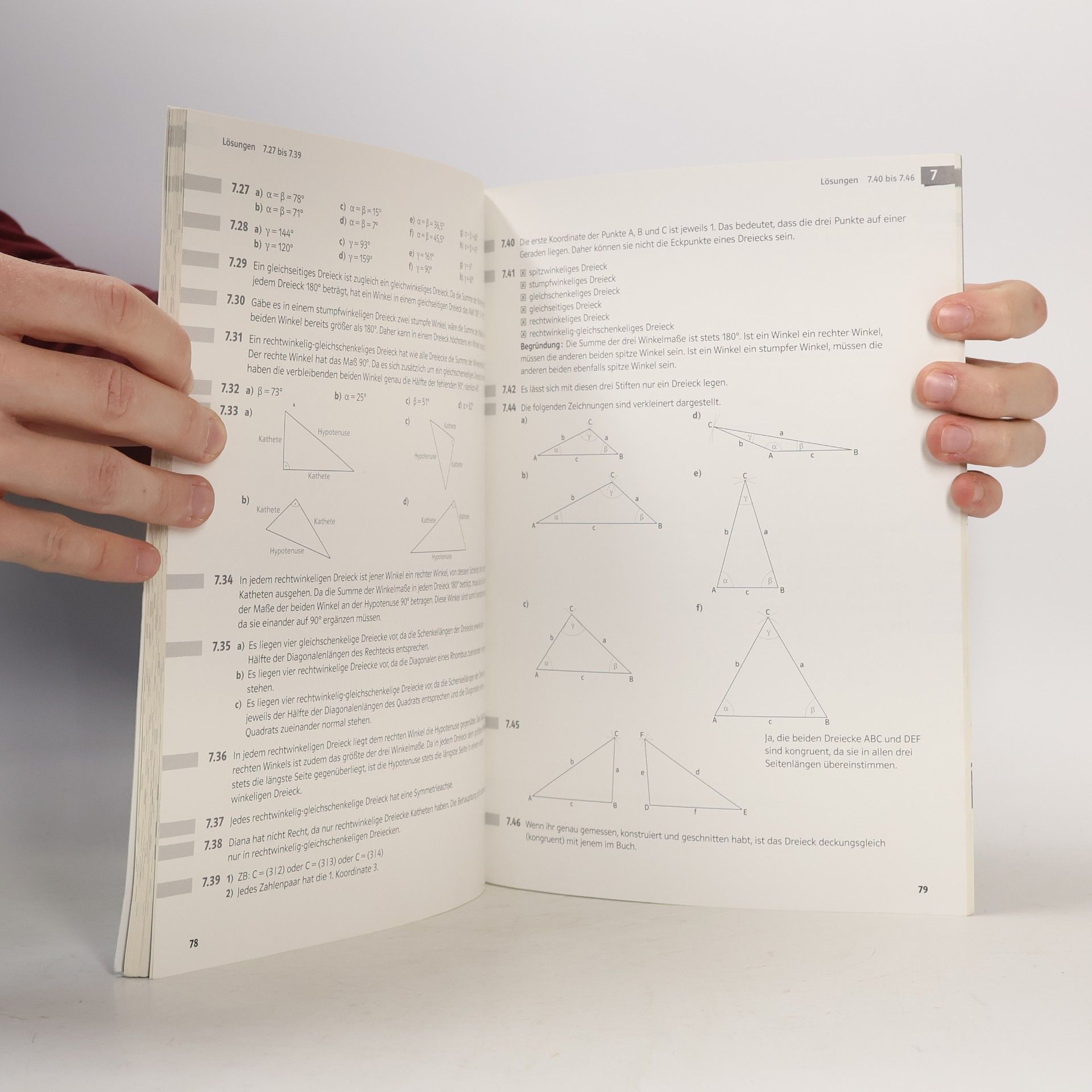 Bernhard Salzger Mathematik verstehen 2, Lösungen