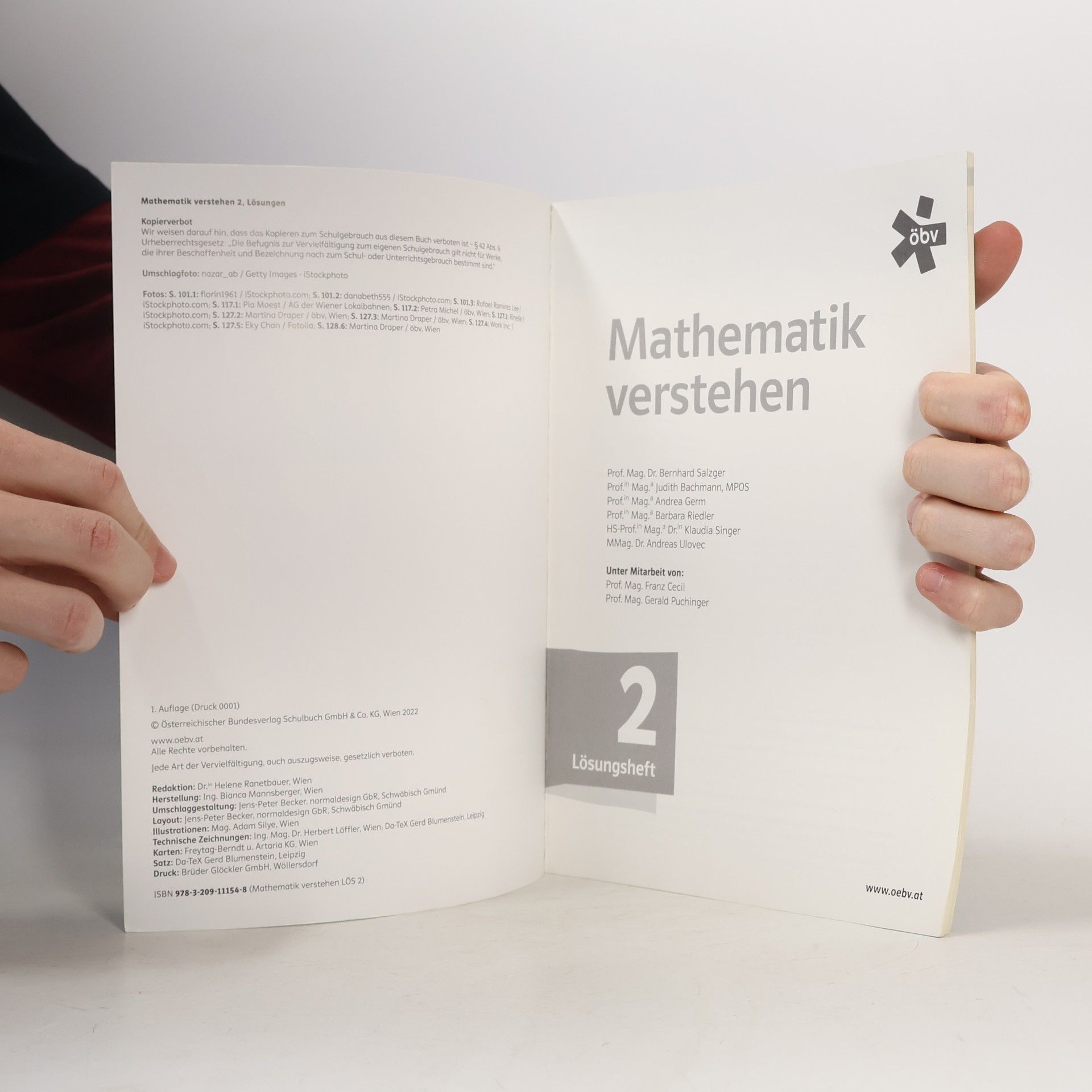 Bernhard Salzger Mathematik verstehen 2, Lösungen