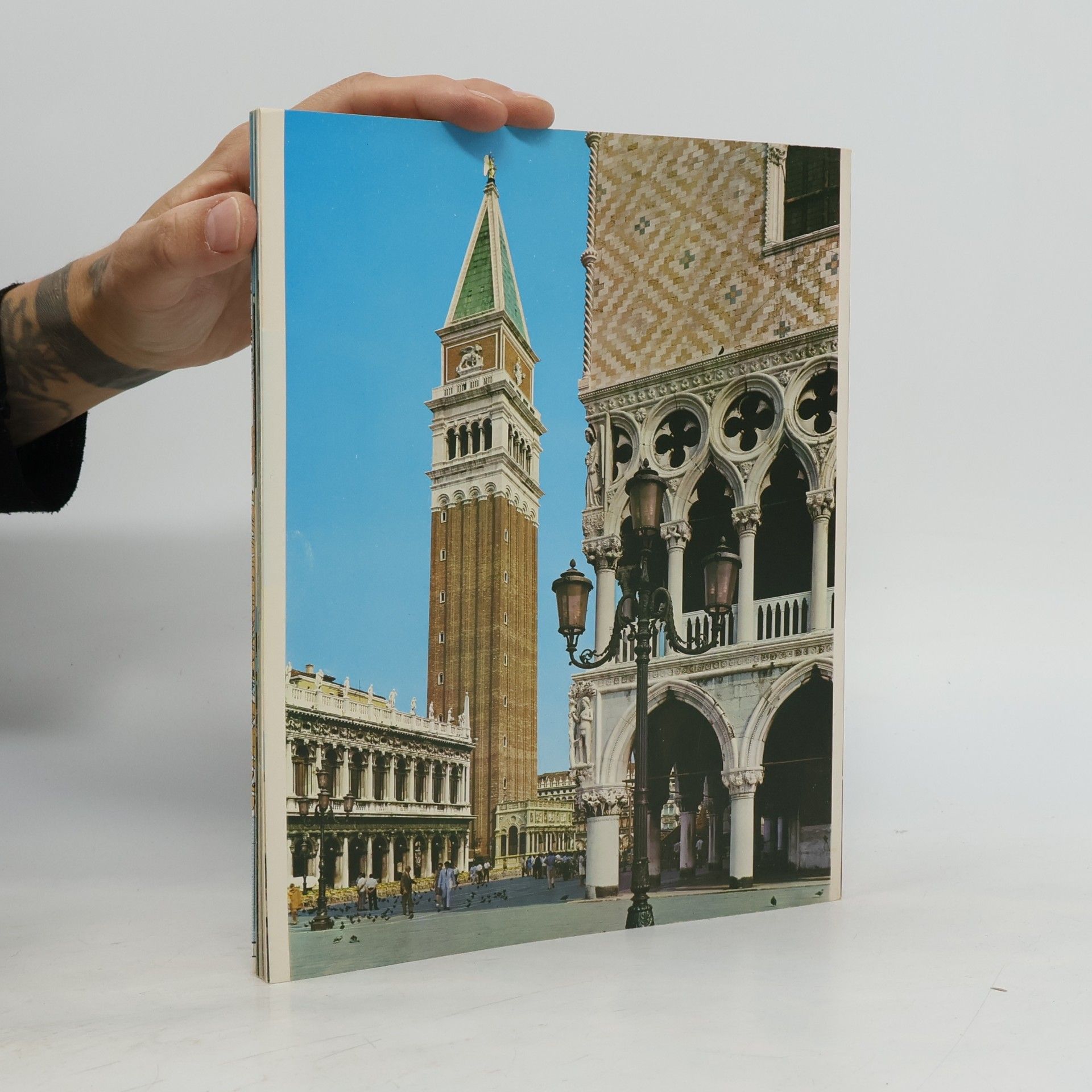 kolektiv Venedig