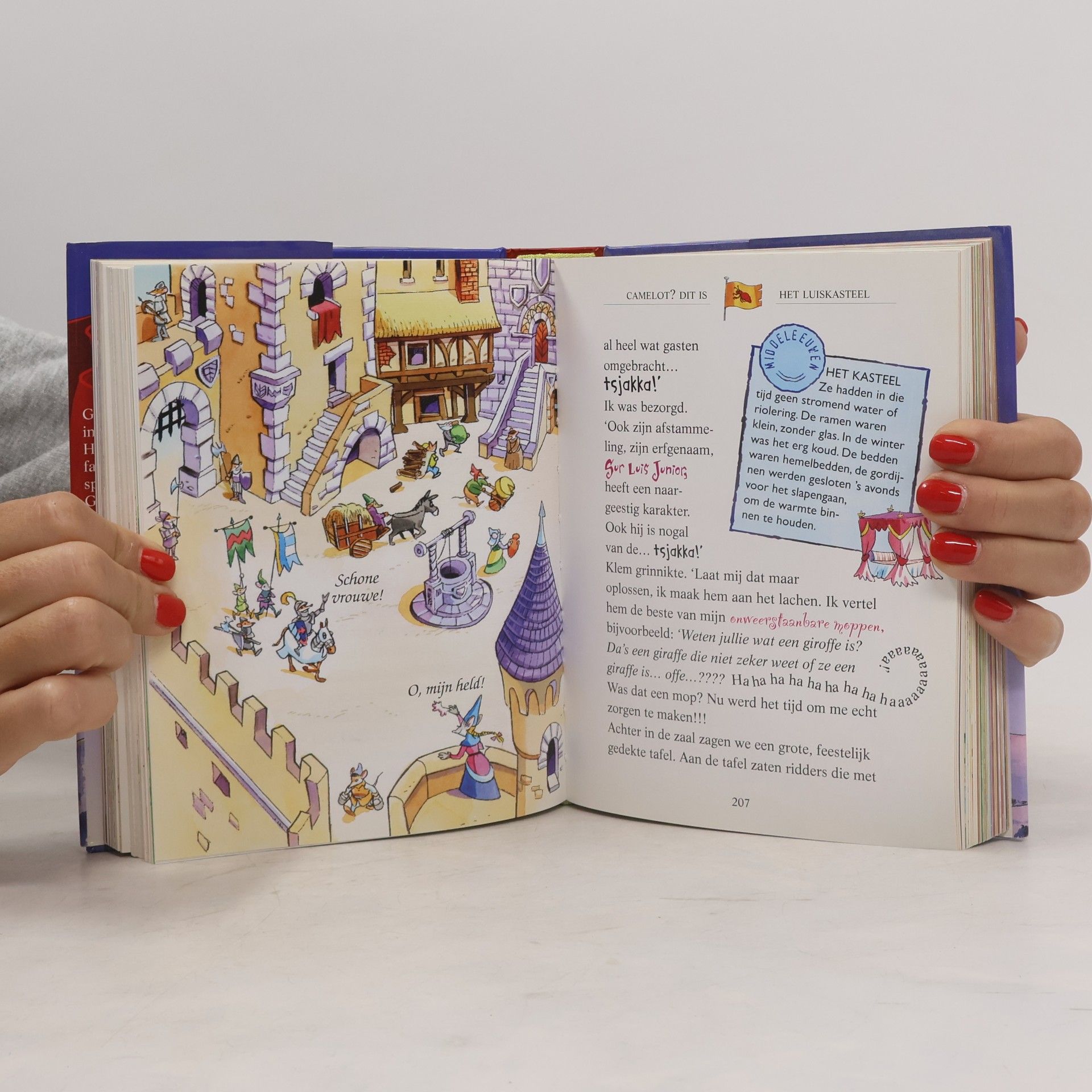 Elisabetta Dami Reis door de tijd
