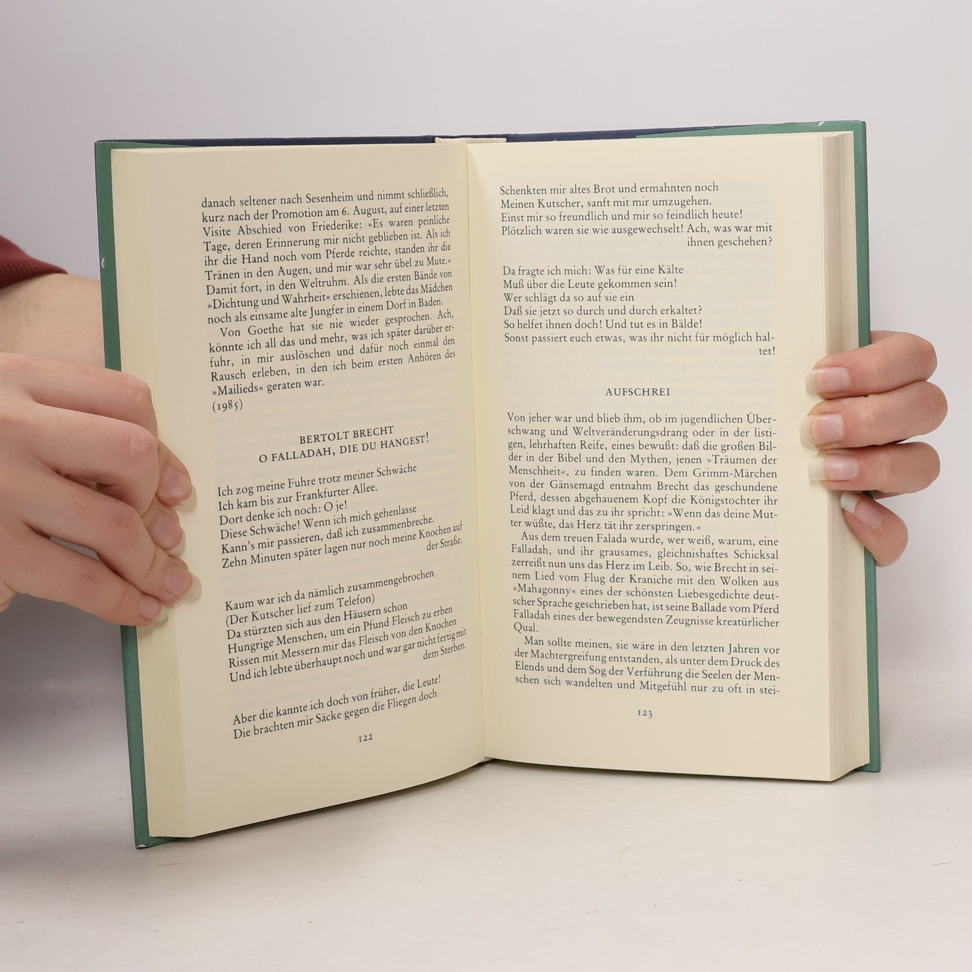Hilde Spiel Das Haus des Dichters