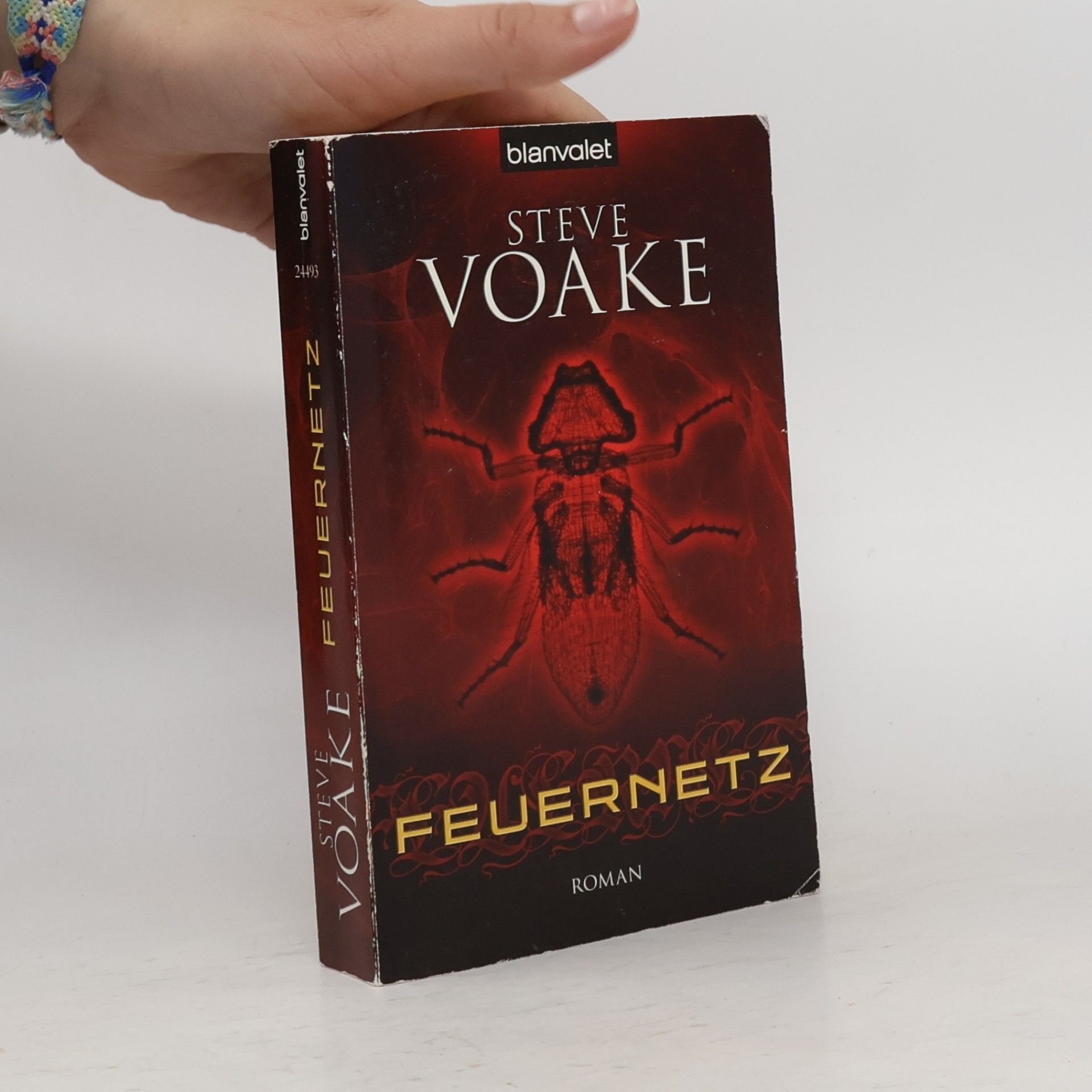 Bernadette Ott Feuernetz. Roman