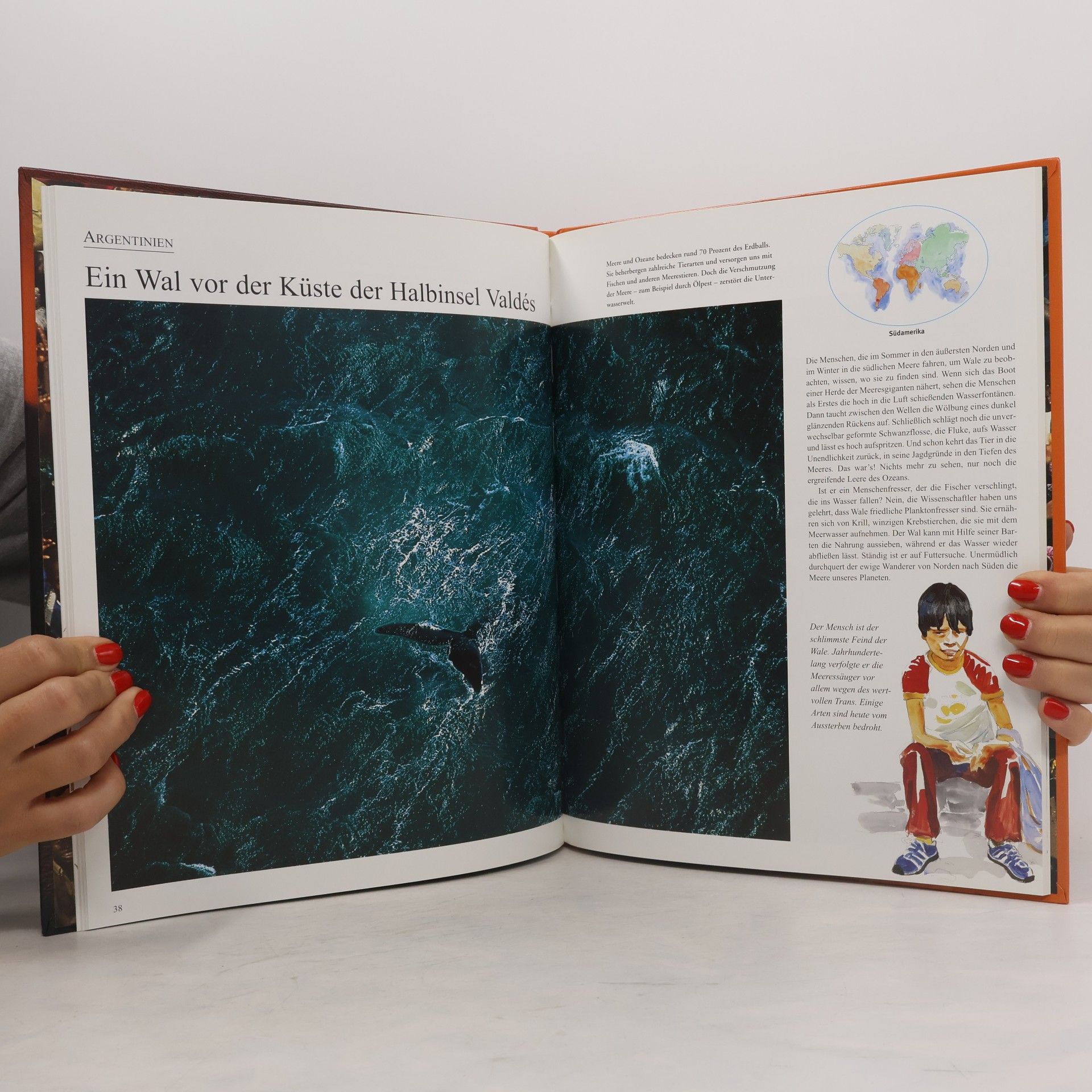 Yann Arthus-Bertrand Die Erde von oben - für Kinder erzählt