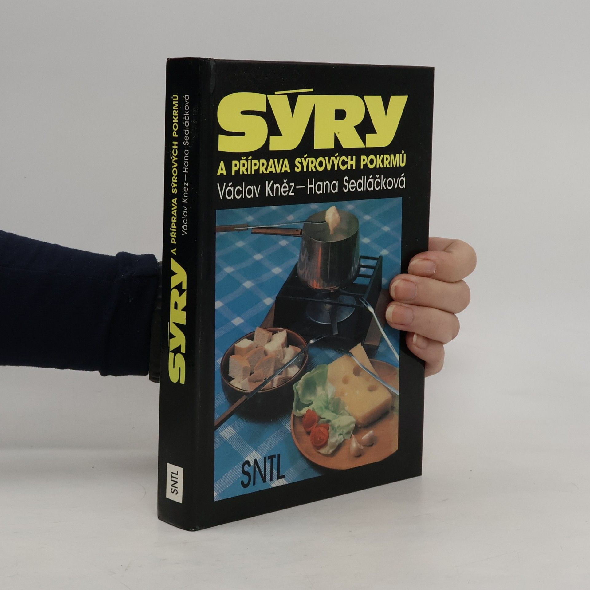 Sýry a příprava sýrových pokrmů