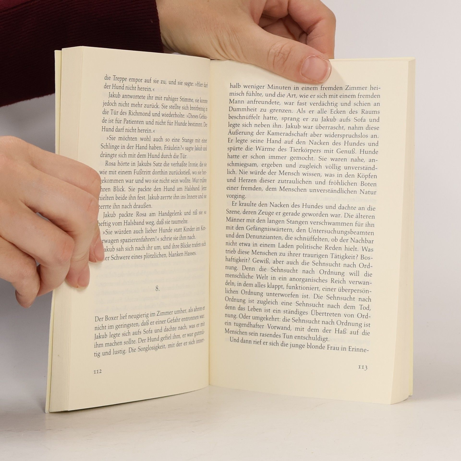 Milan Kundera Abschiedswalzer