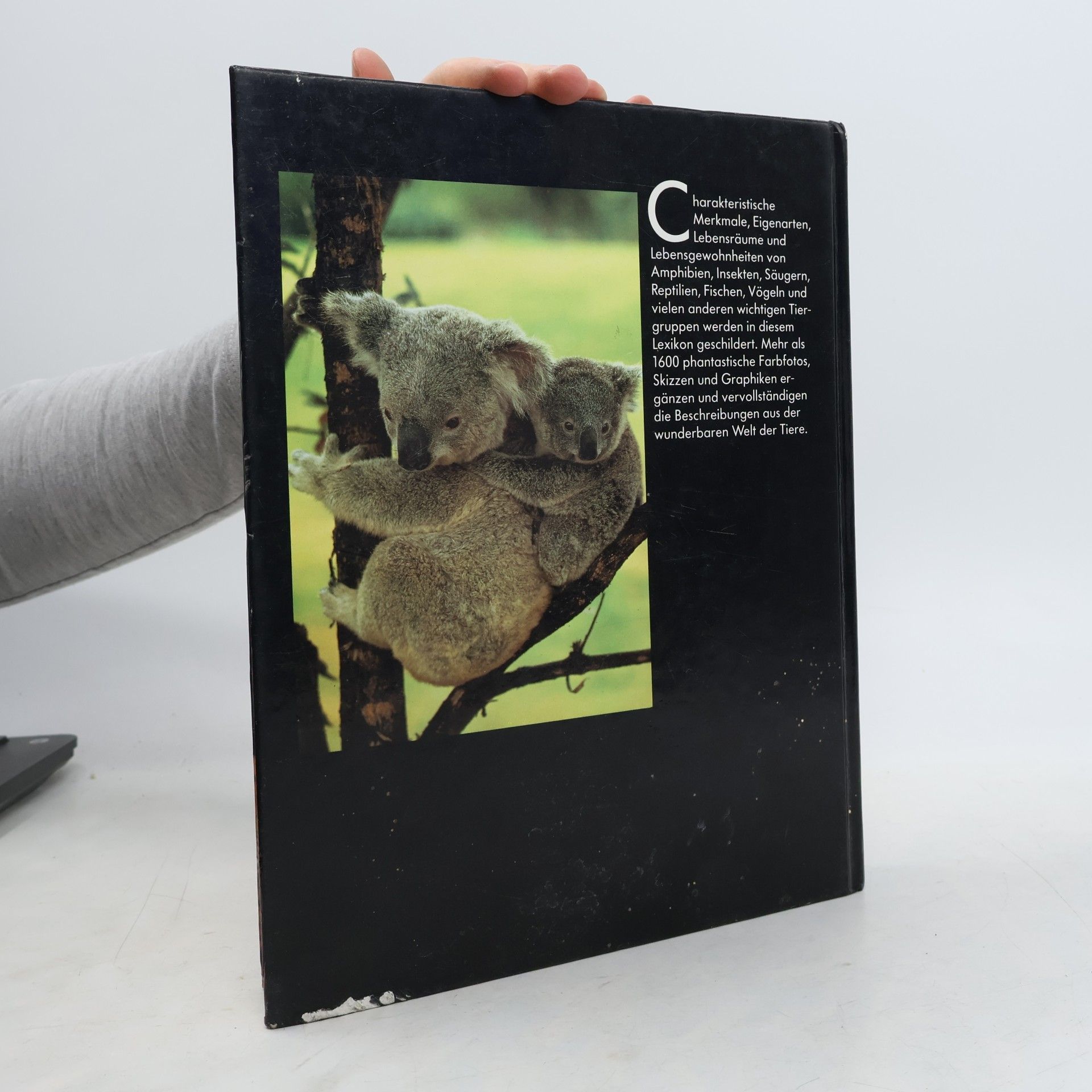 Autores varios Lexikon der Tiere von A-Z