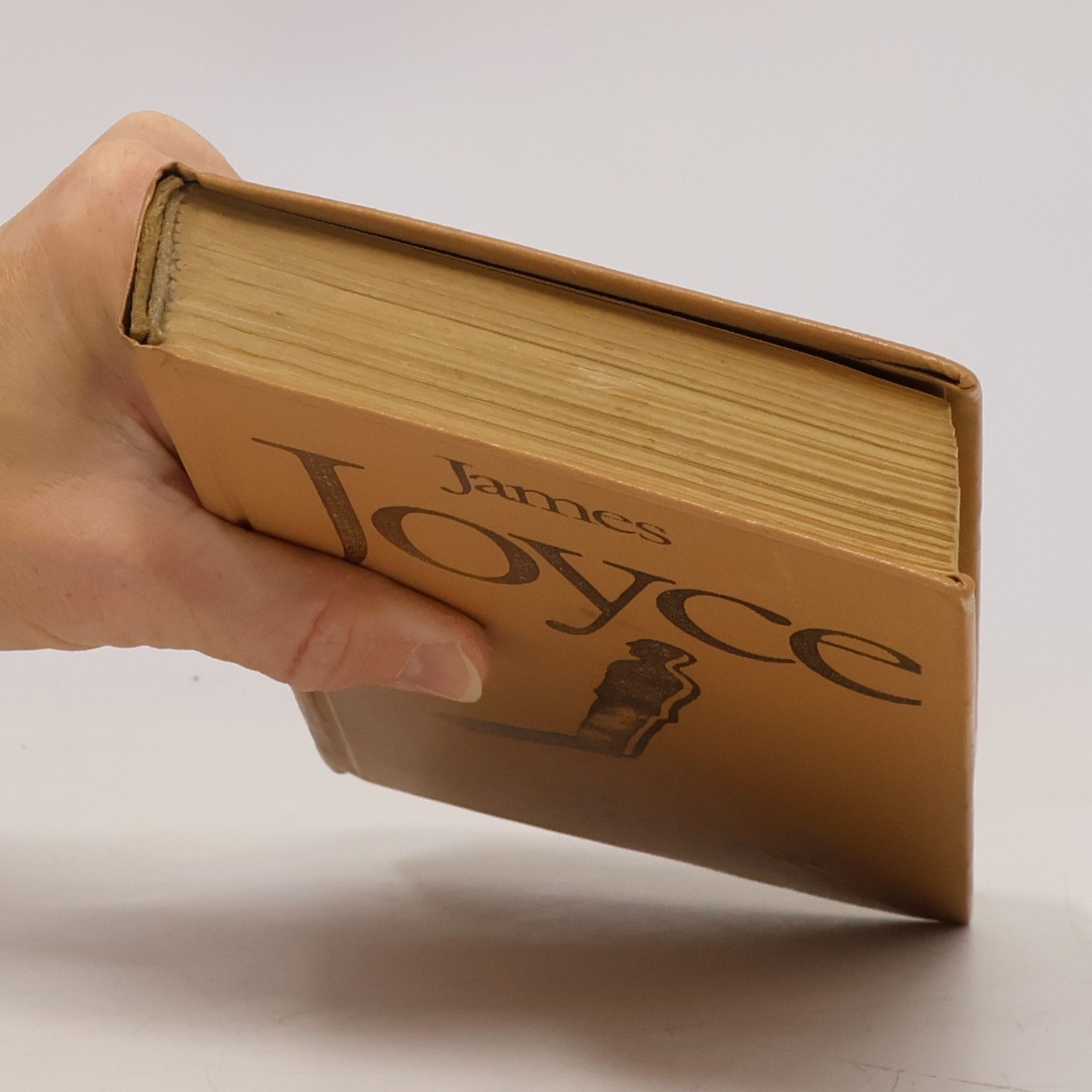 James Joyce Ulisses I