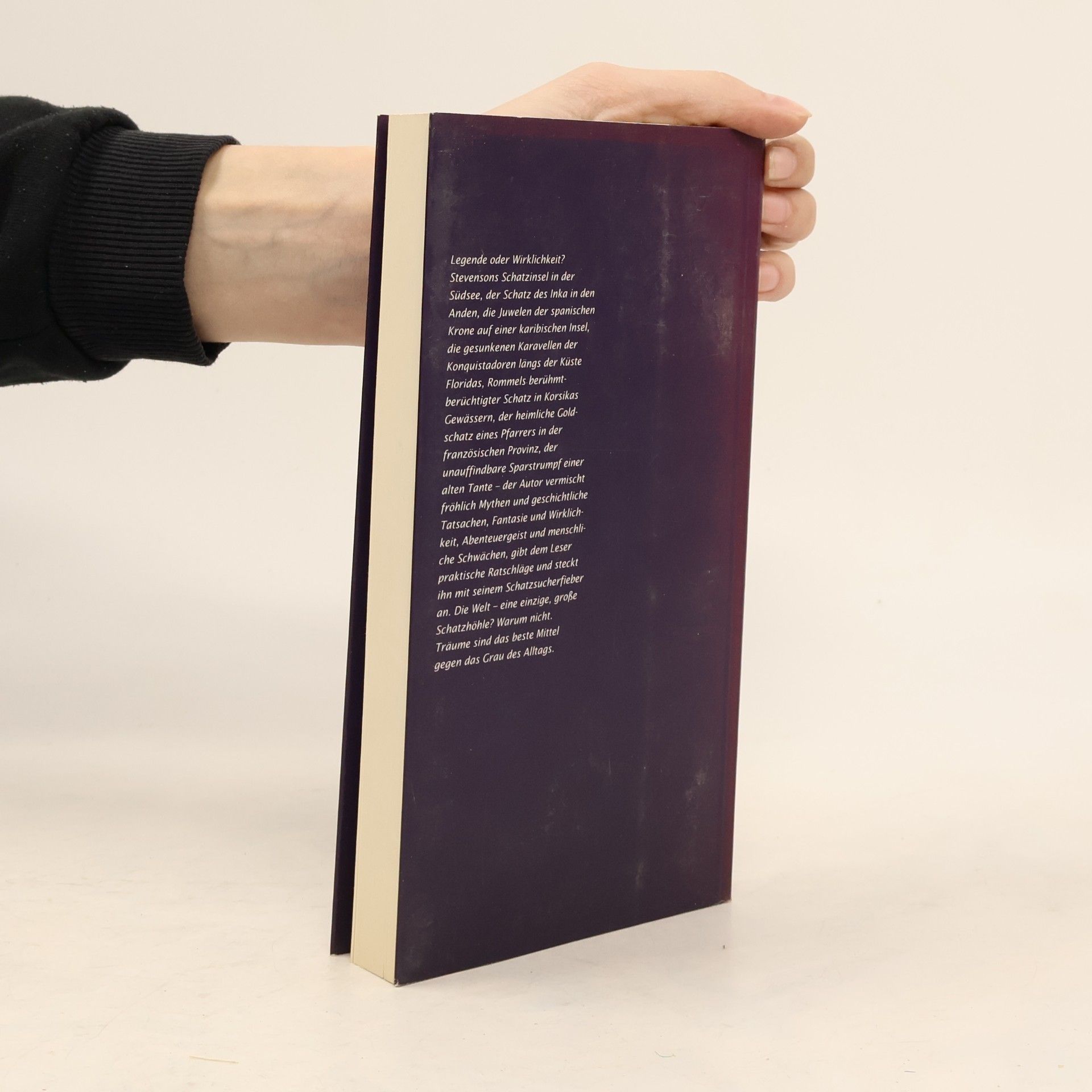 Michel Bagnaud Beruf: Schatzsucher. Alle ungehobenen Schätze der Welt. Ein Handbuch