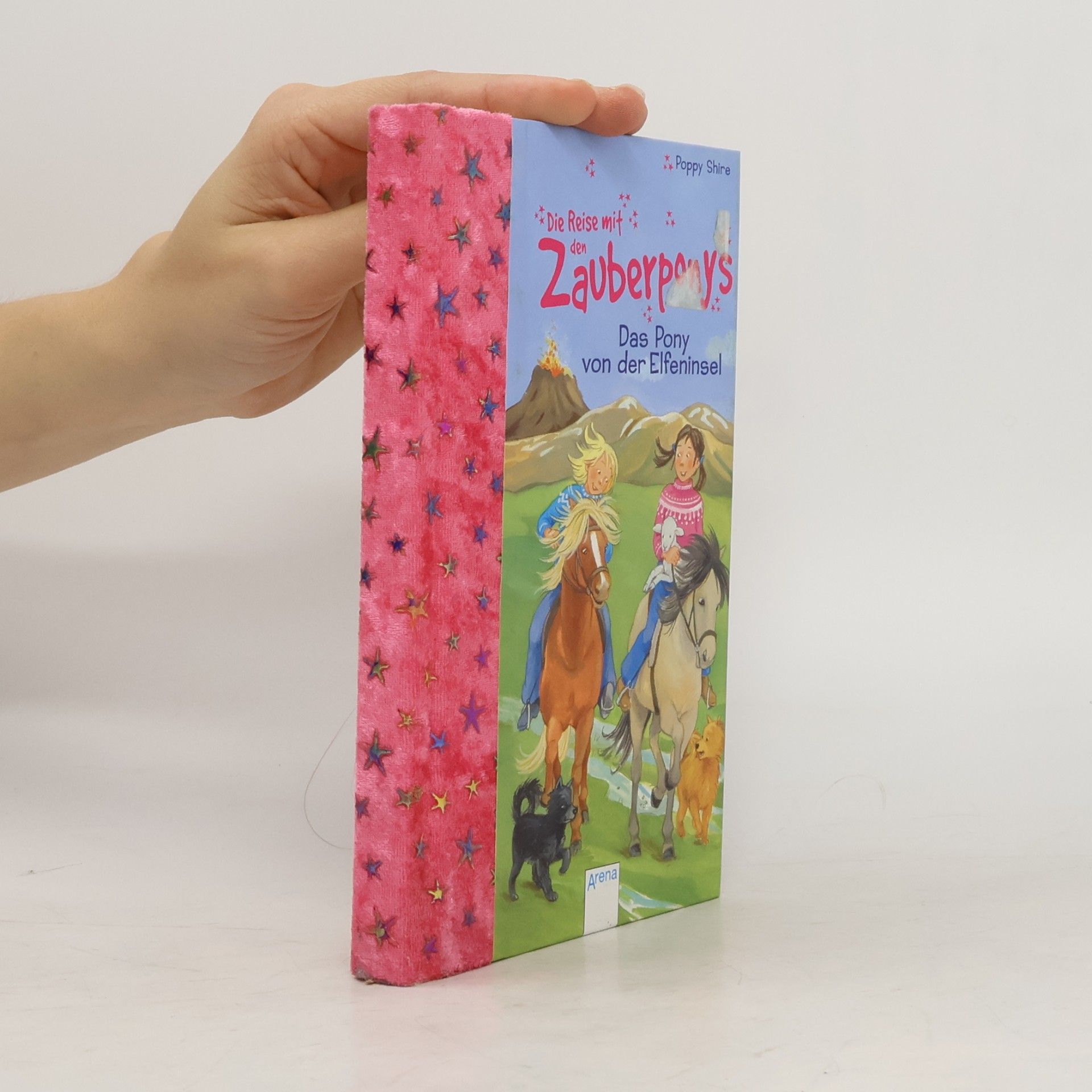 Marie Polixa Die Reise mit den Zauberponys