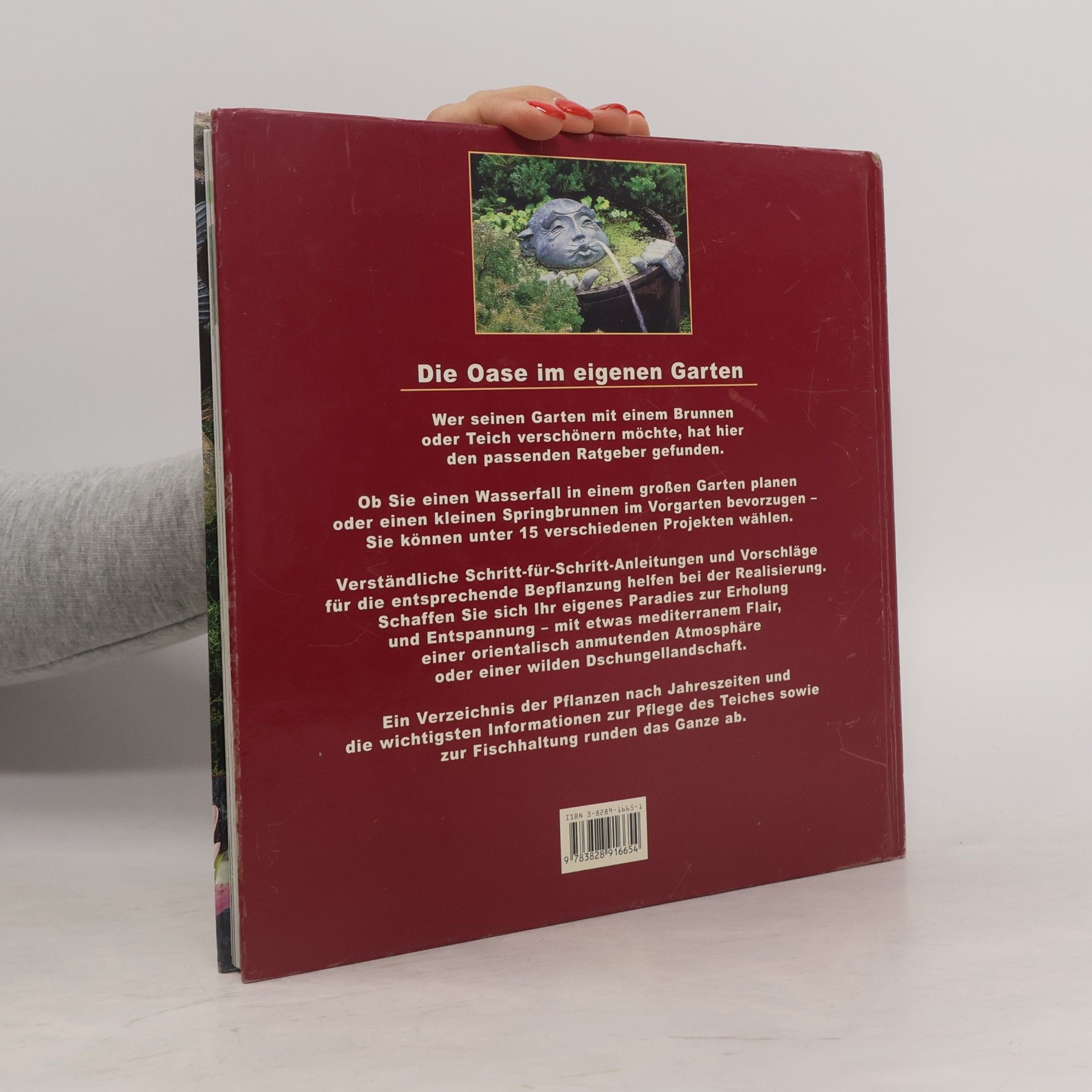 Yvonne Rees Neue Minibrunnen und Miniteiche