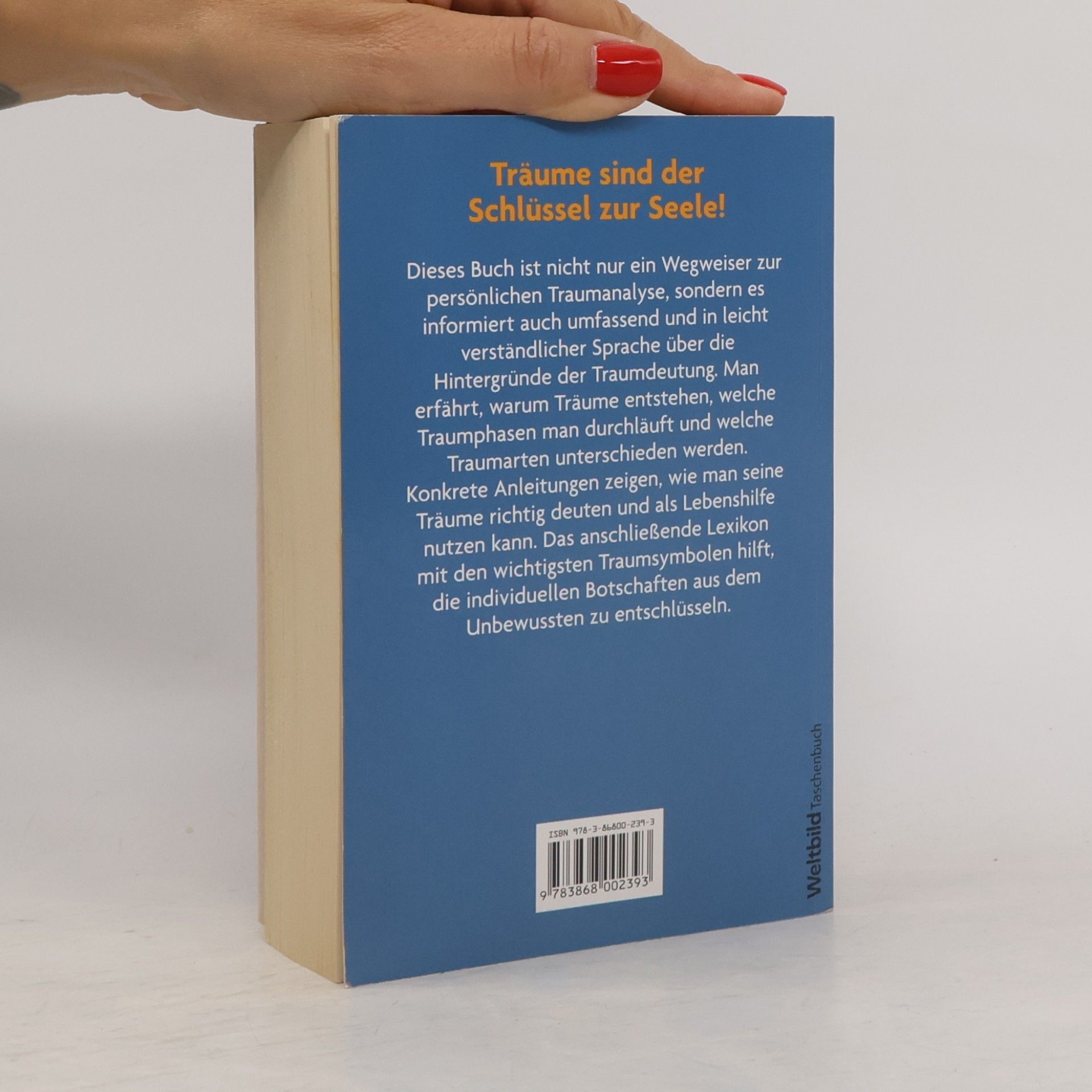 Andreas Baumgarten Handbuch der Traumdeutung
