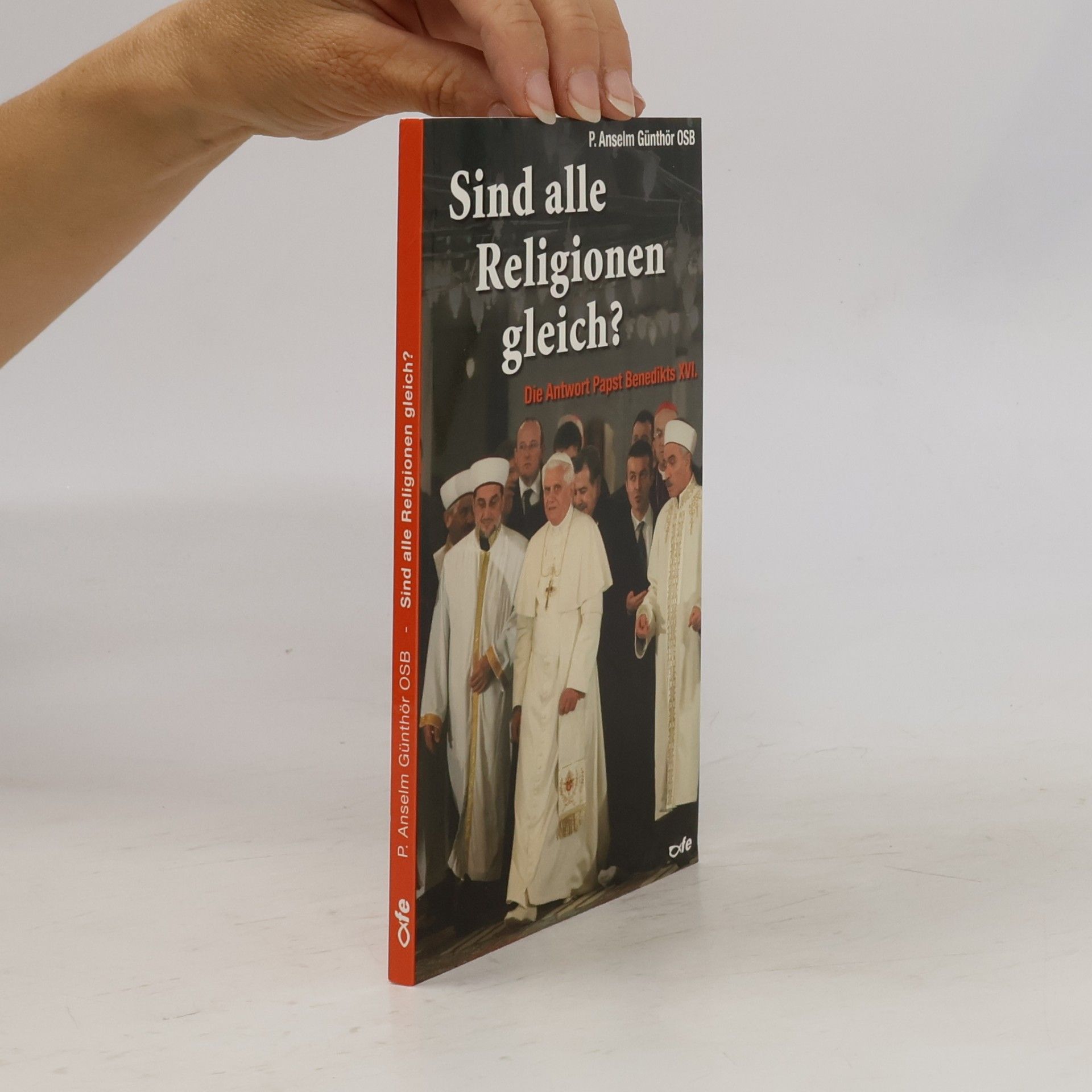 Anselm Günthör Sind Alle Religionen gleich?: Die Antwort Papst Benedikts XVI.
