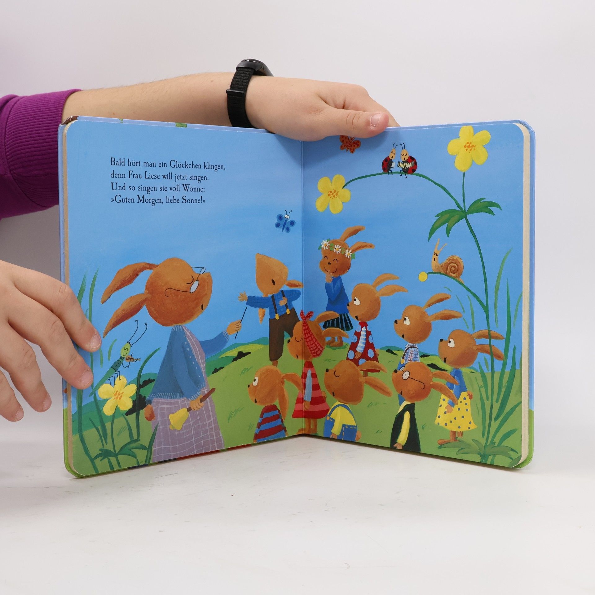 Outi Kaden Der Häschen-Kindergarten