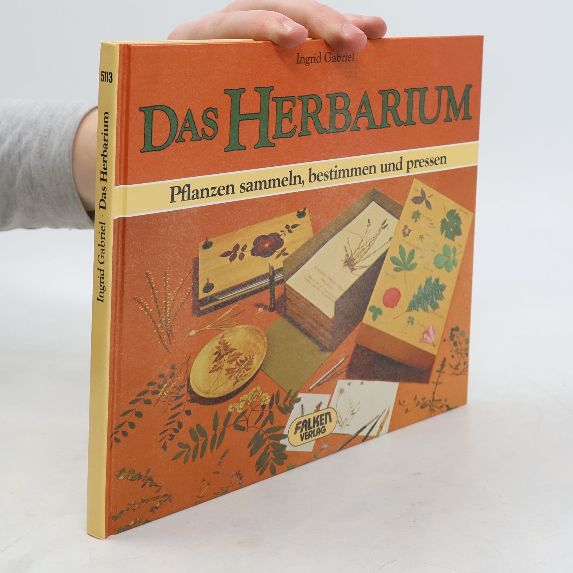 Das Herbarium