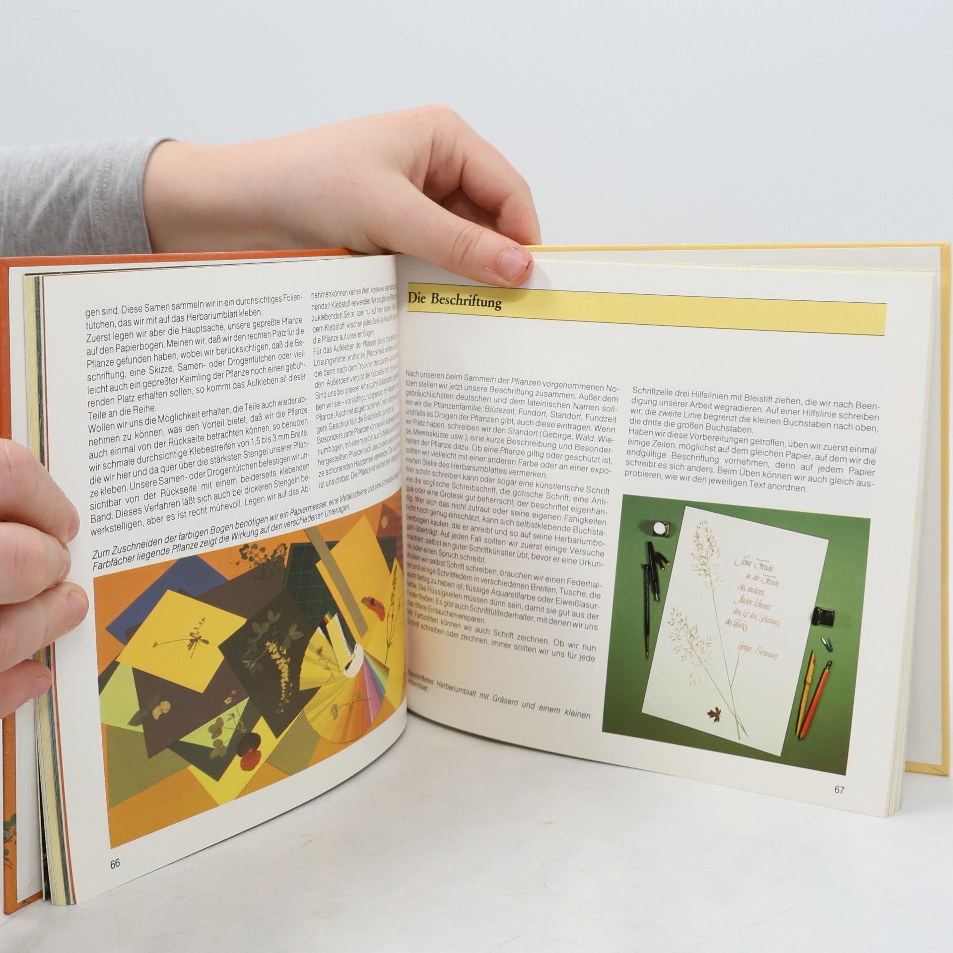 Ingrid Gabriel Das Herbarium