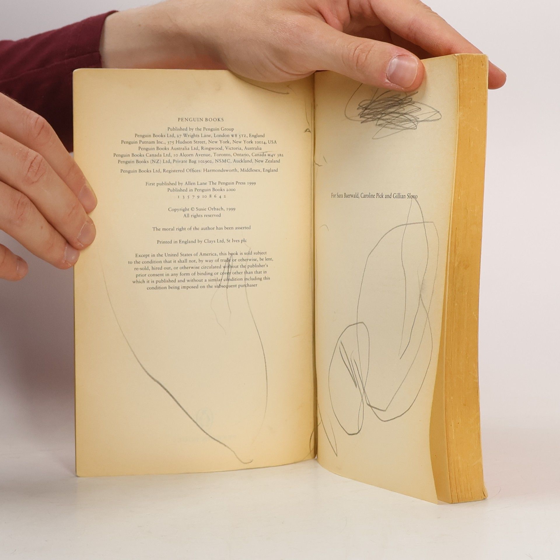 Susie Orbach The Impossibility of Sex