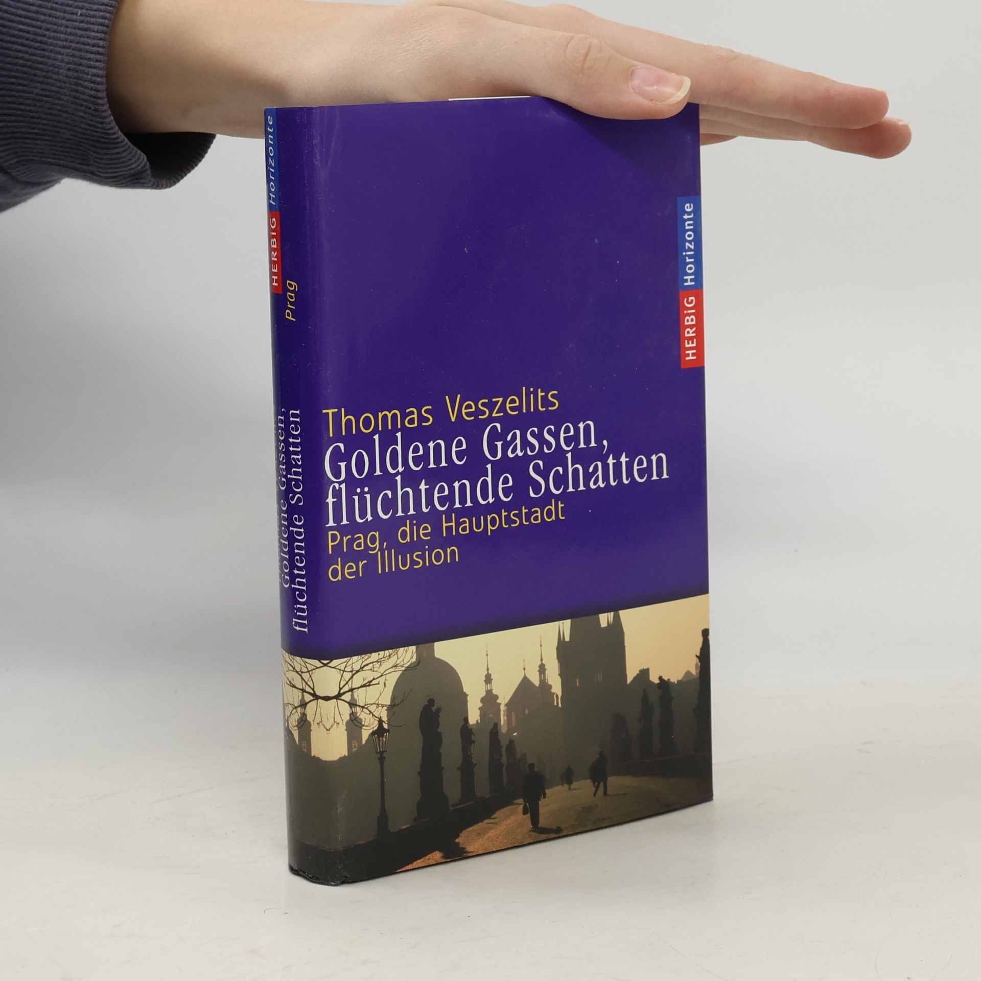 Goldene Gassen, flüchtende Schatten : Prag, die Hauptstadt der Illusion