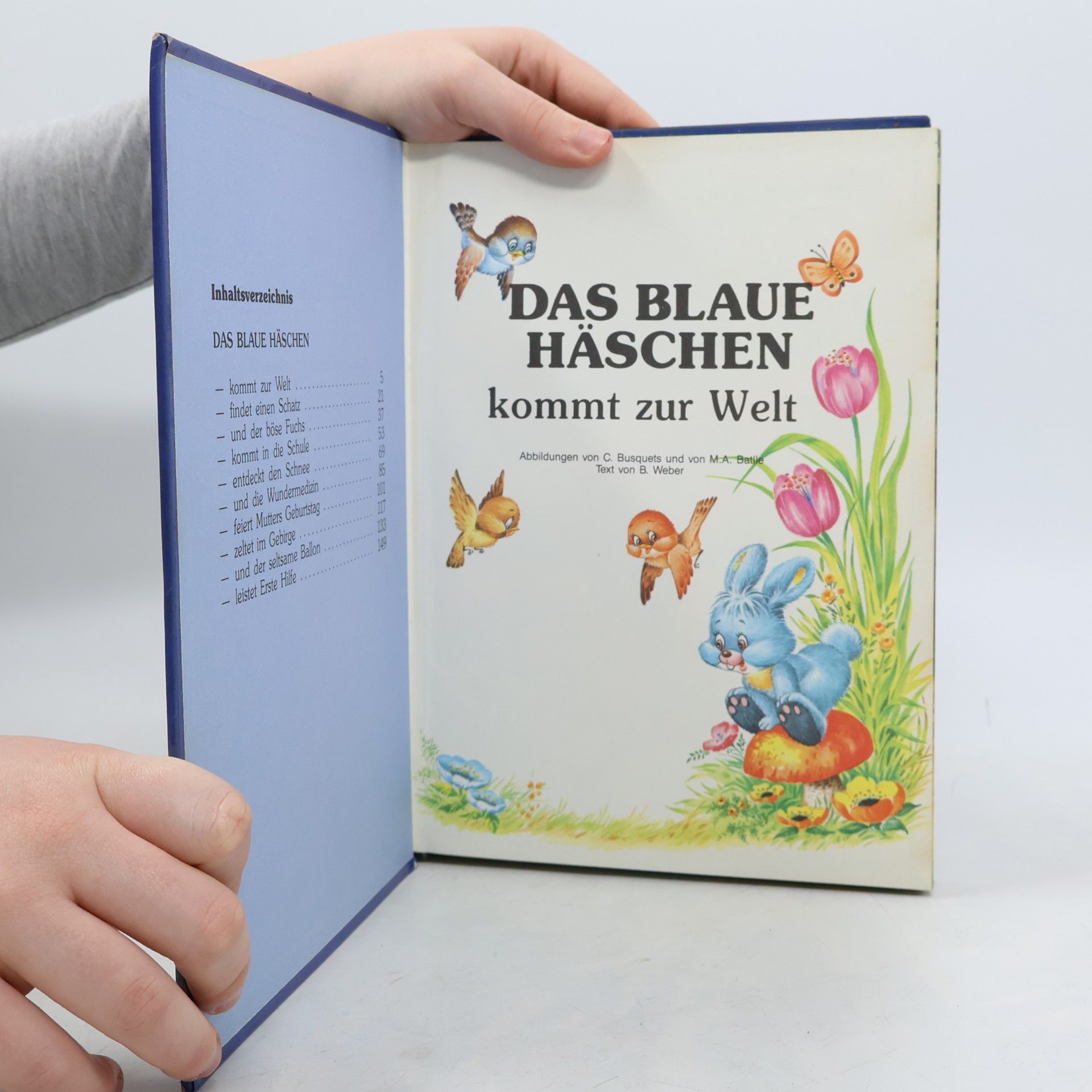 kolektiv Das blaue Häschen
