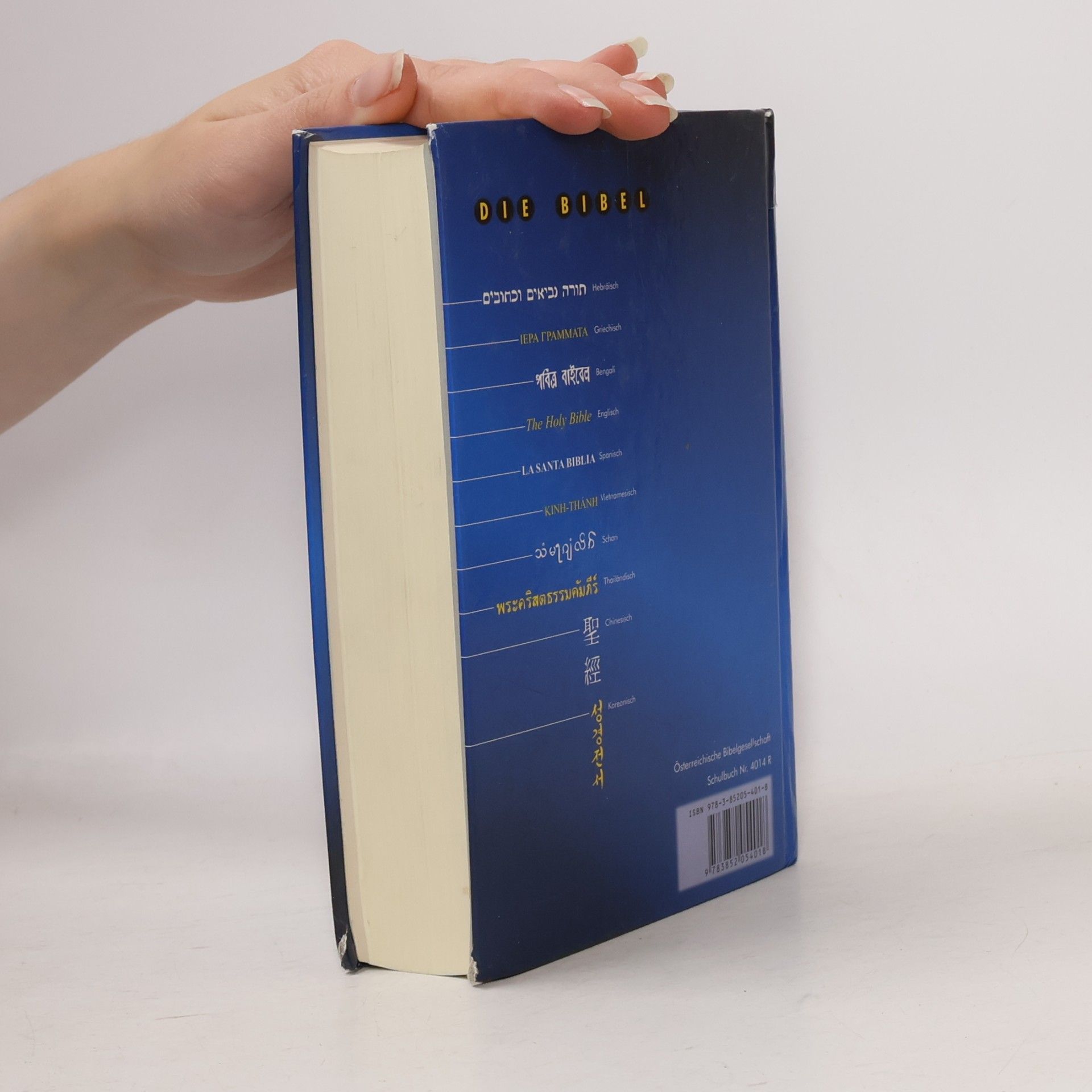 Martin Luther Die Bibel nach der Übersetzung Martin Luthers mit Einführungen und Bildern