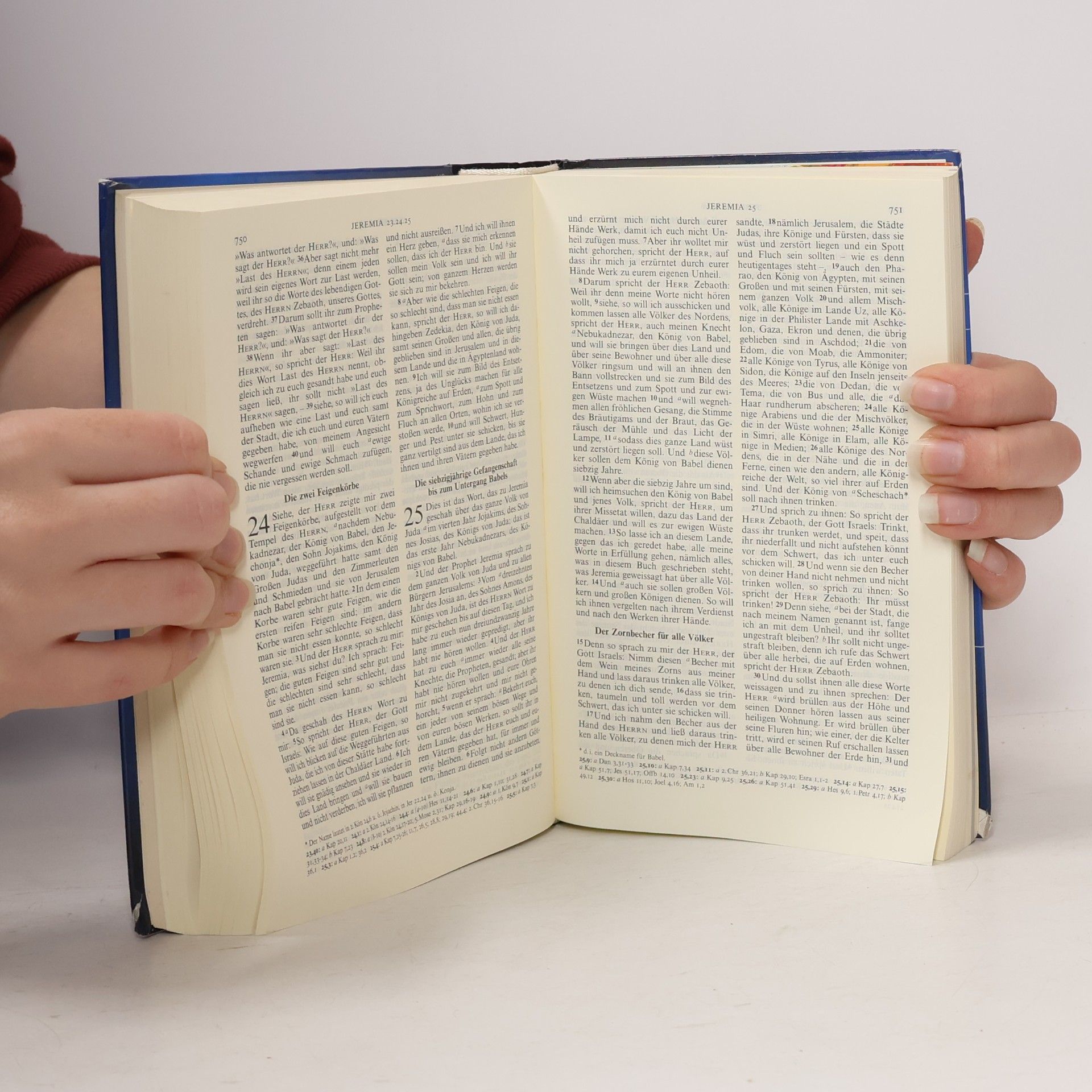 Martin Luther Die Bibel nach der Übersetzung Martin Luthers mit Einführungen und Bildern