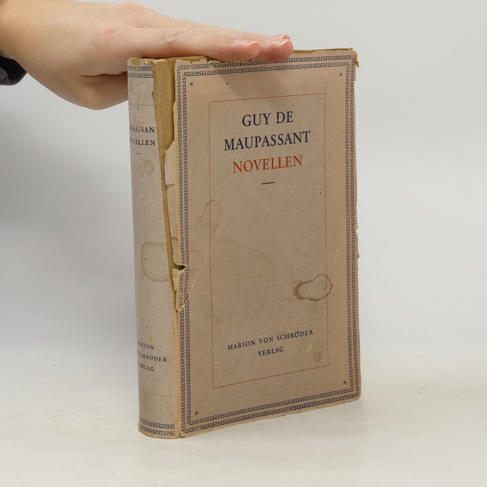 Guy de Maupassant Novellen
