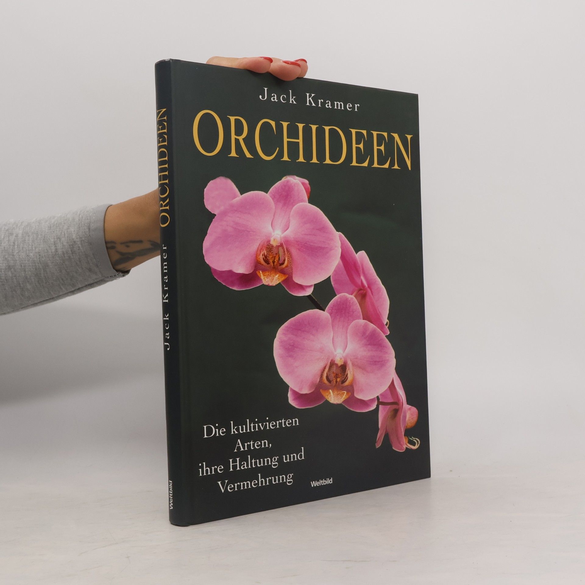Jack Kramer Orchideen